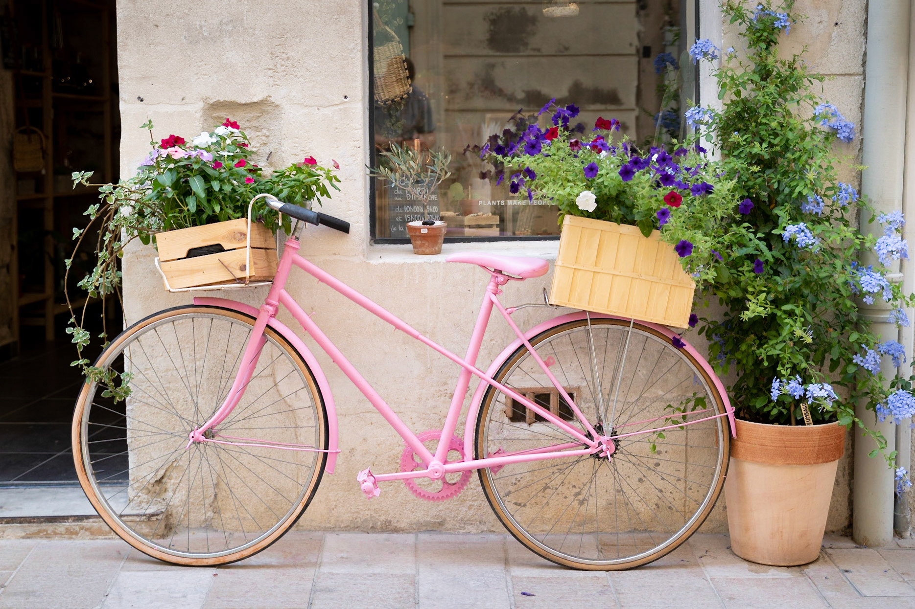 Flower Shop in Saint-Rémy-de-Provence
