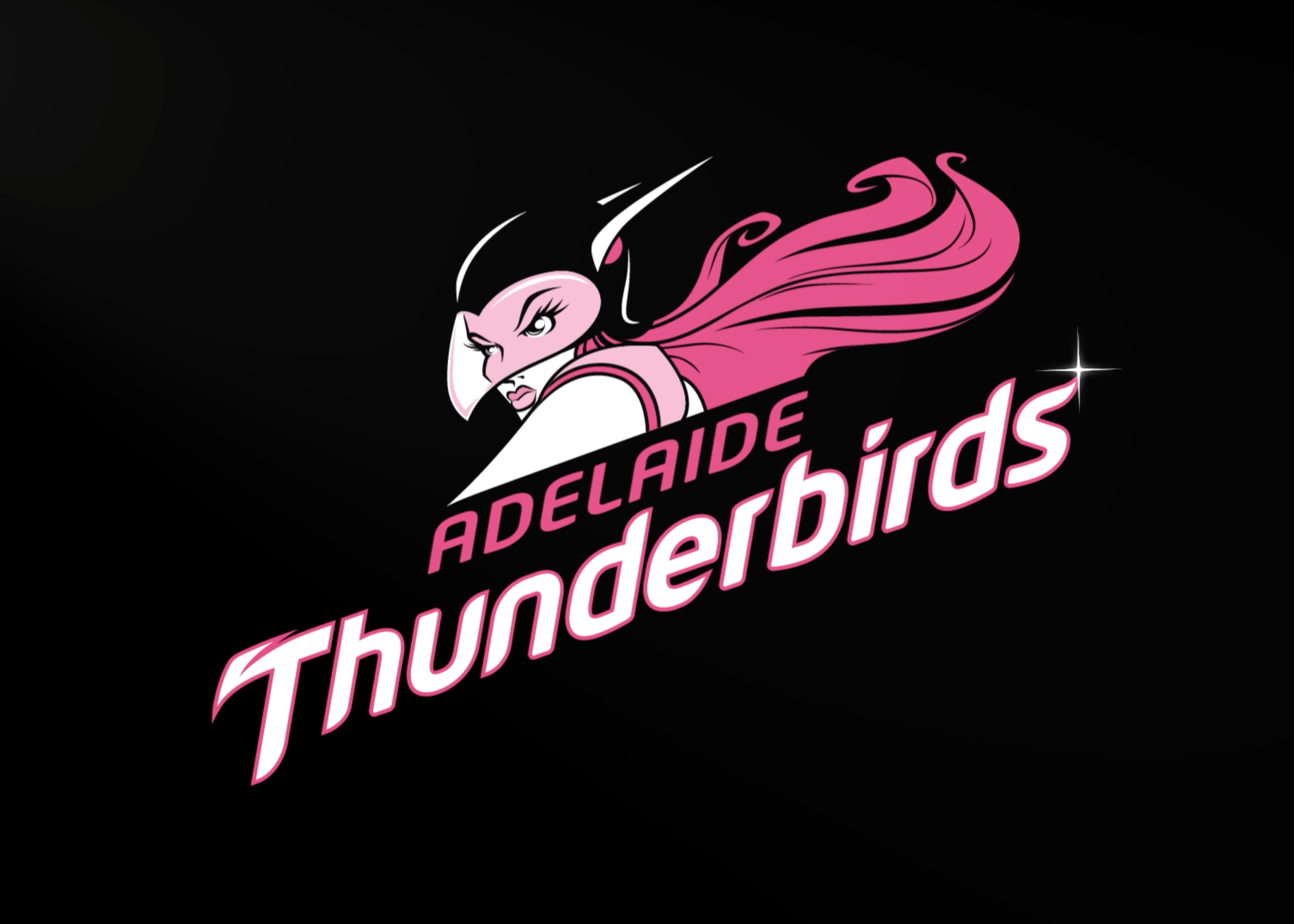 Thunderbirds Netball Scoreboard Bar