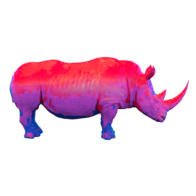The Vanishing Rhino