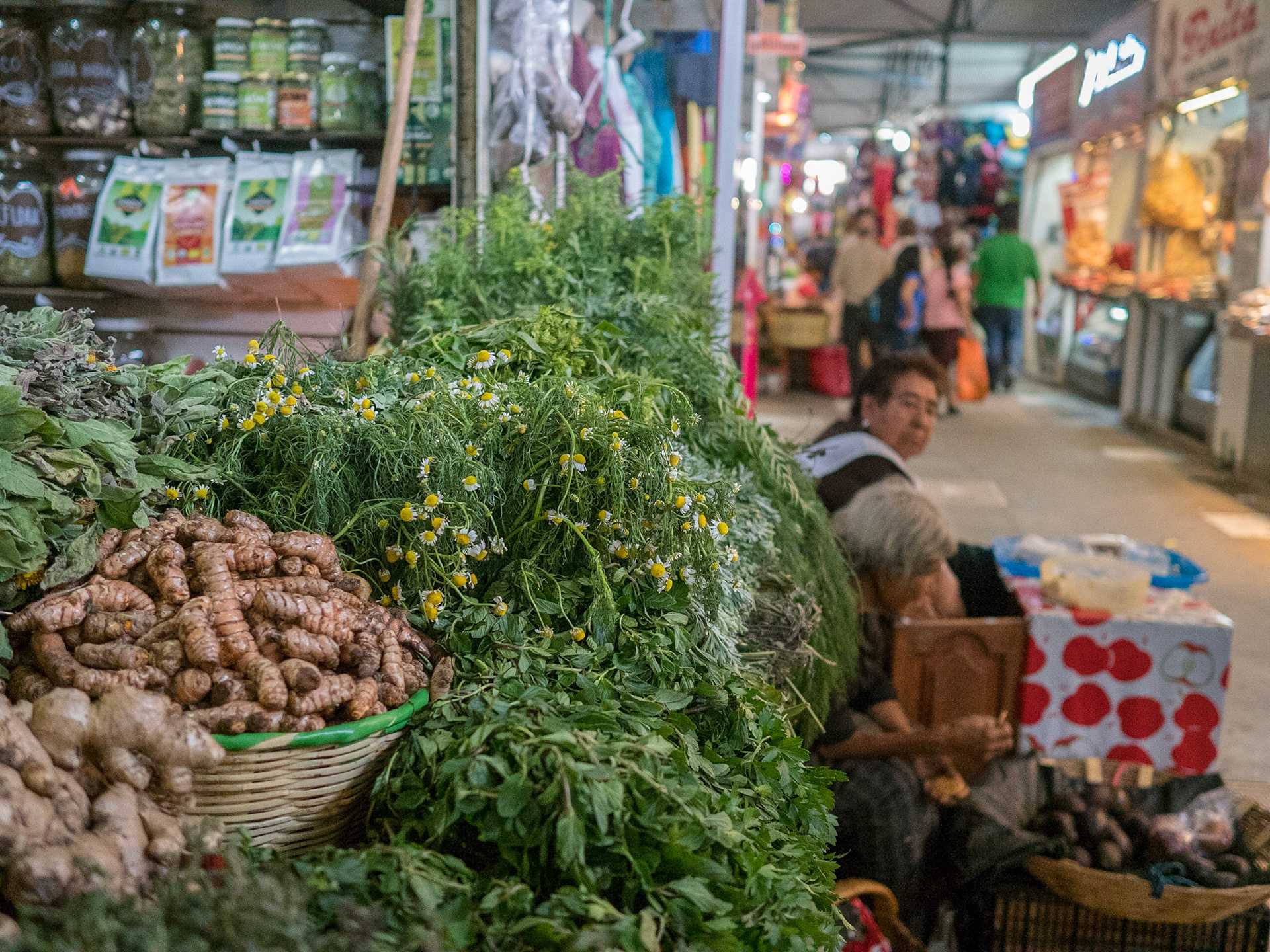 Oaxaca, Mexico