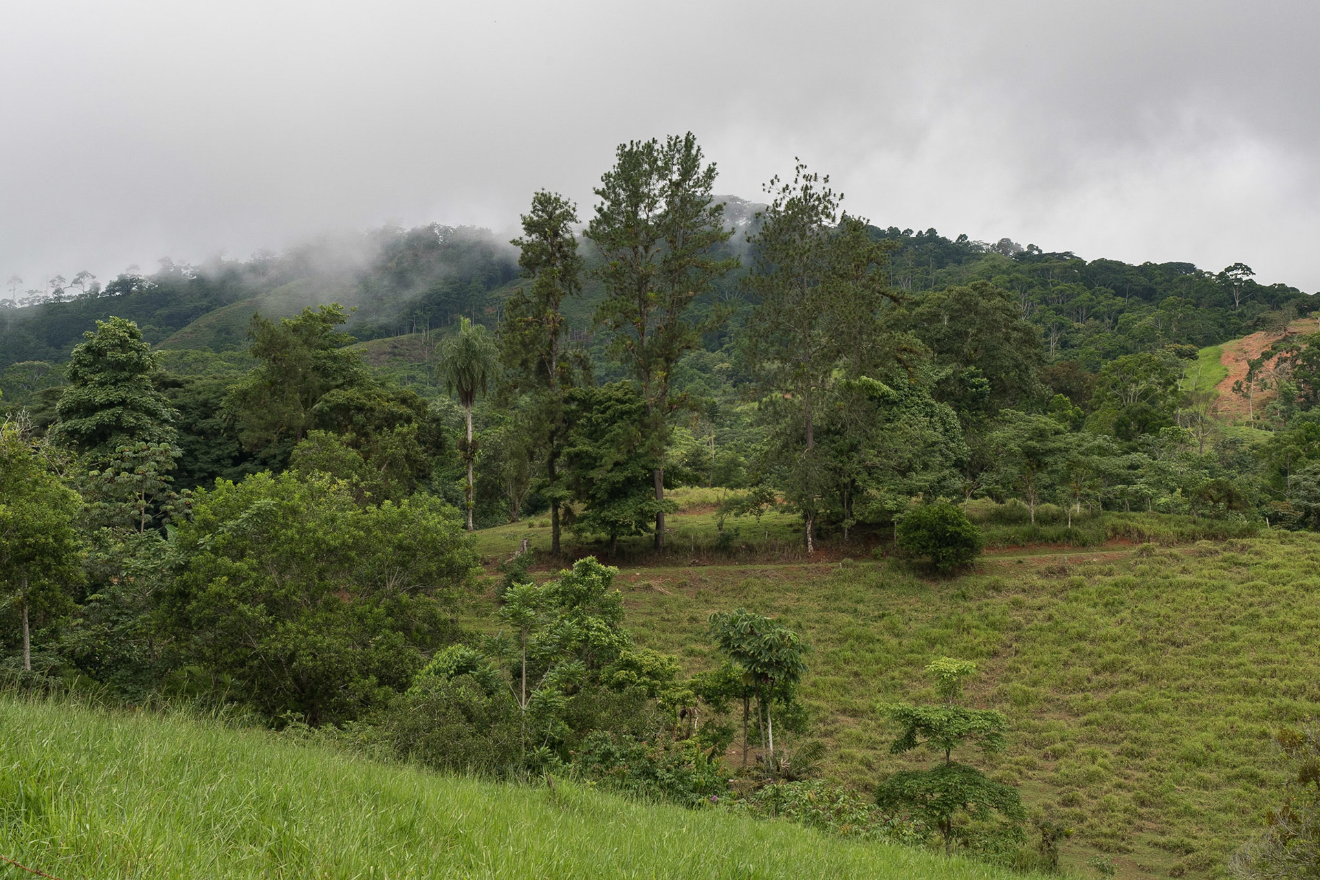 Costa Rica