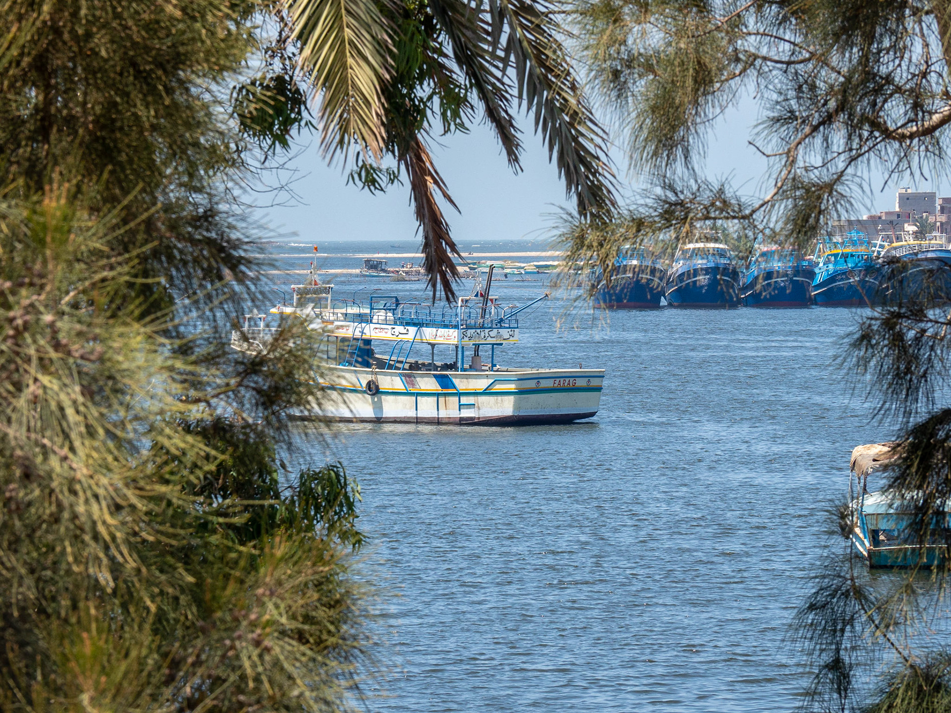 Rashid, Egypt