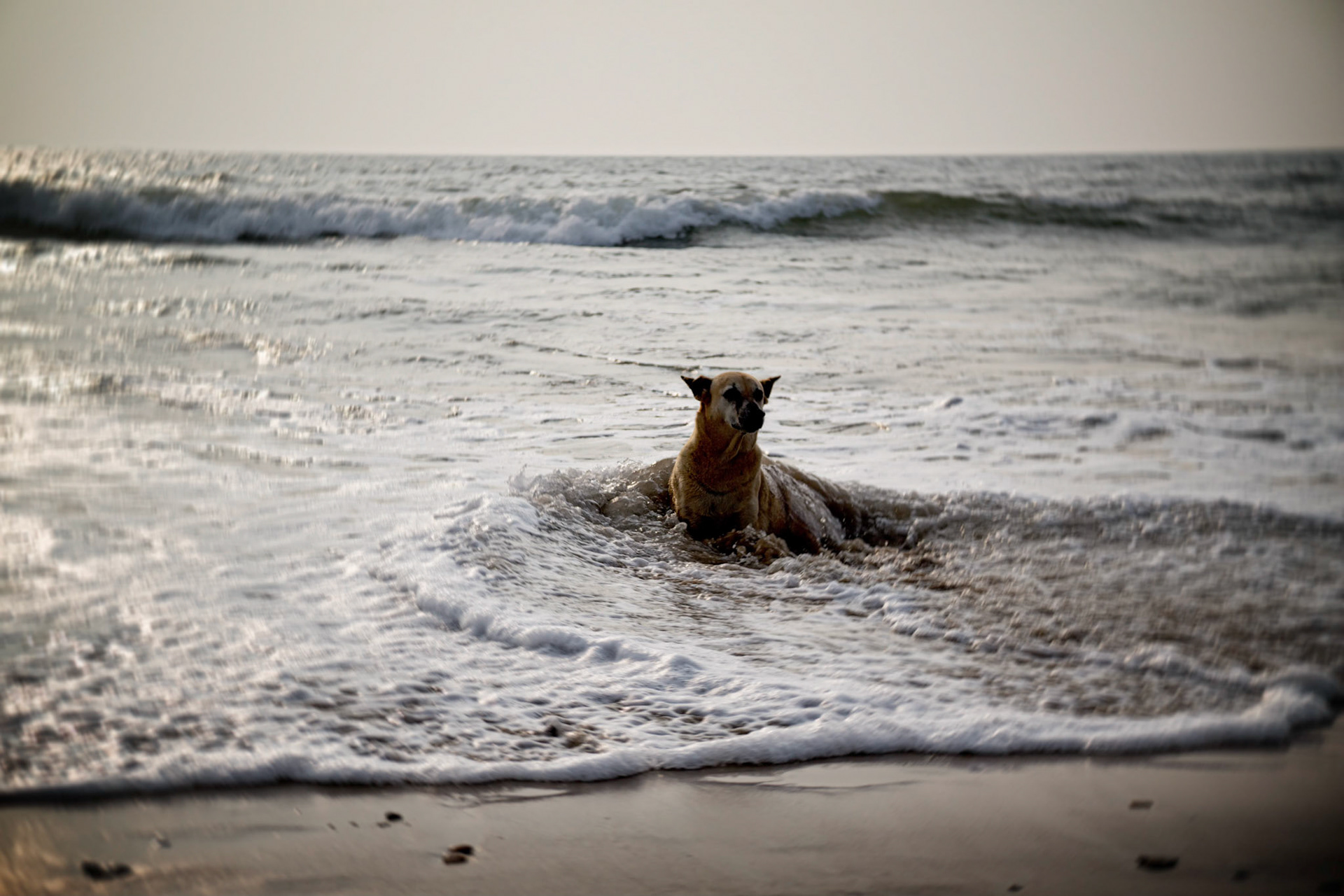 Goa, India