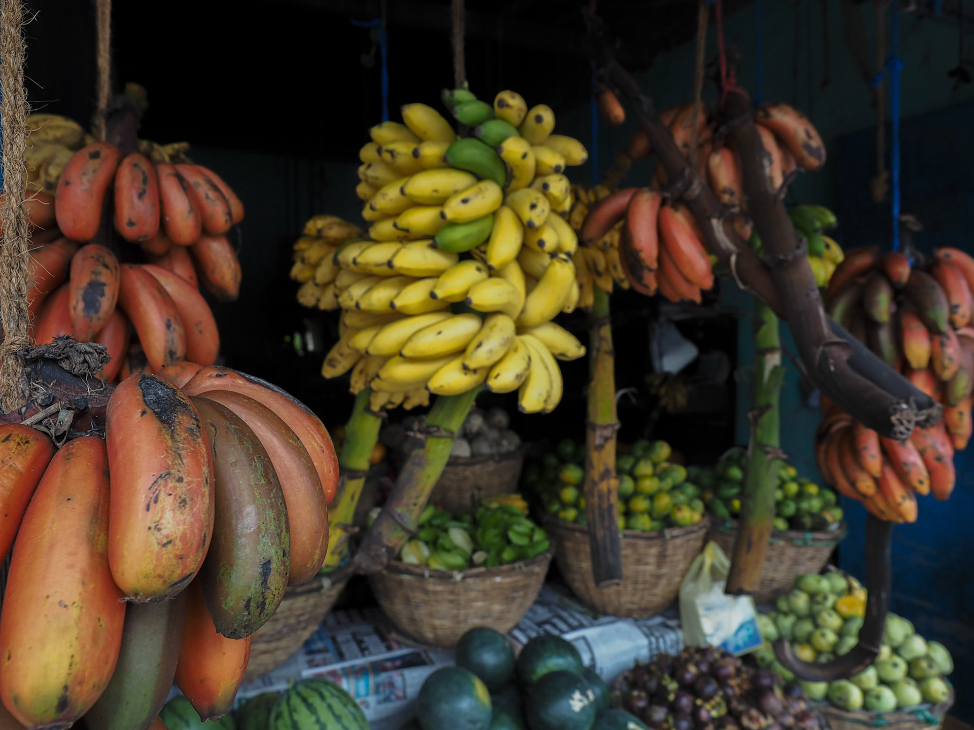 Bentota, Sri Lanka