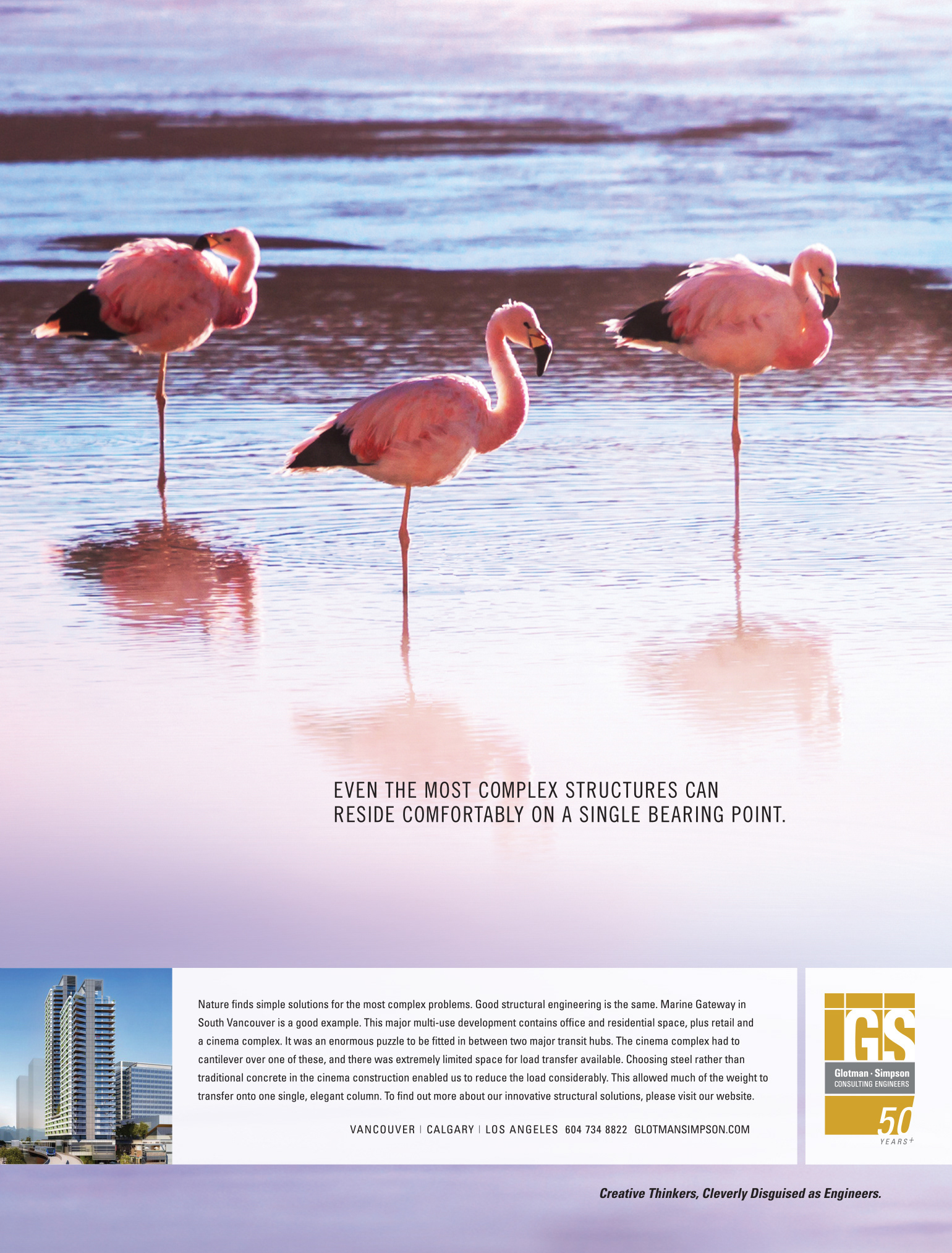 Glotman Simpson flamingo magazine ad