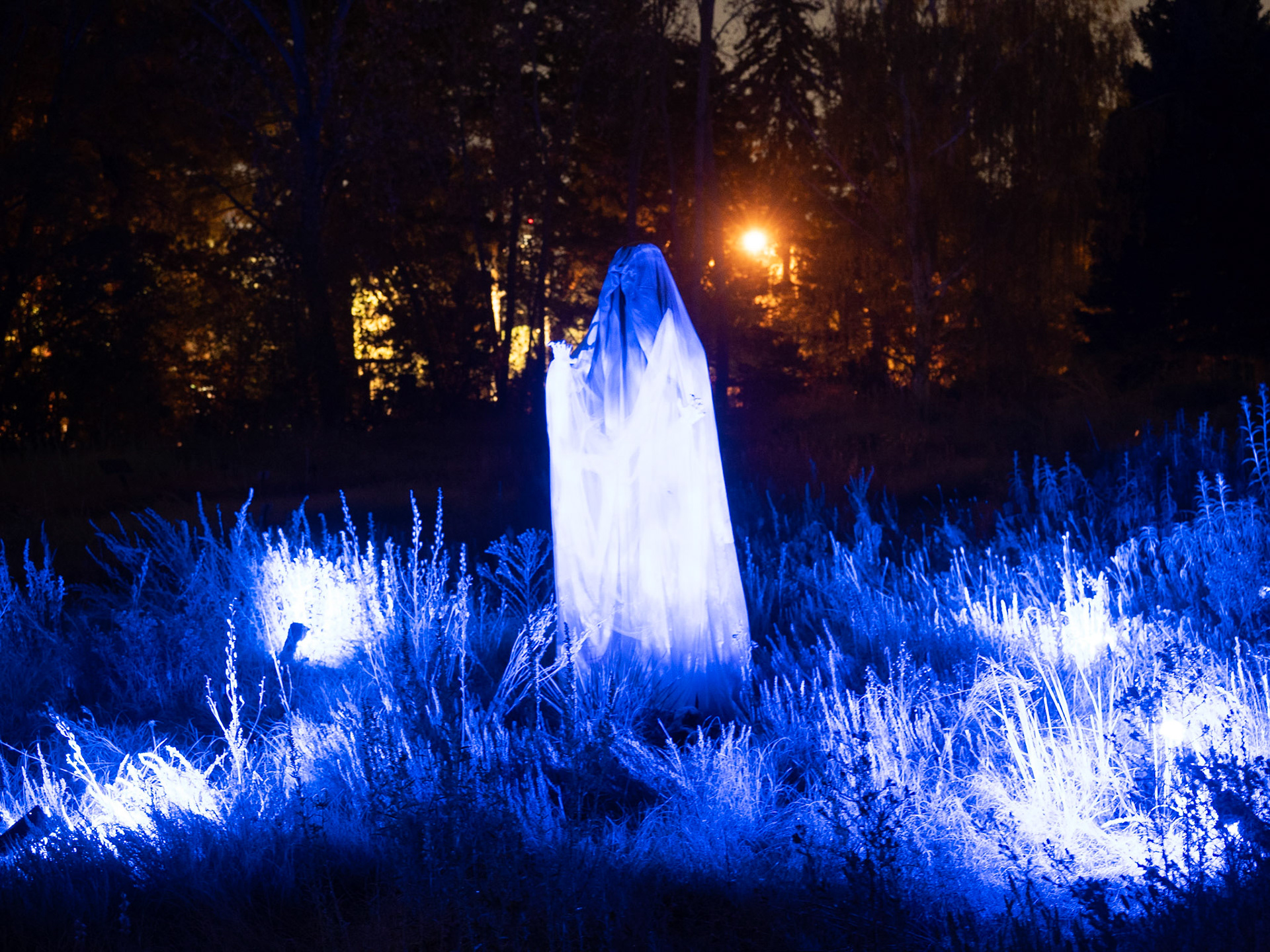 Glow at the Gardens 2020
