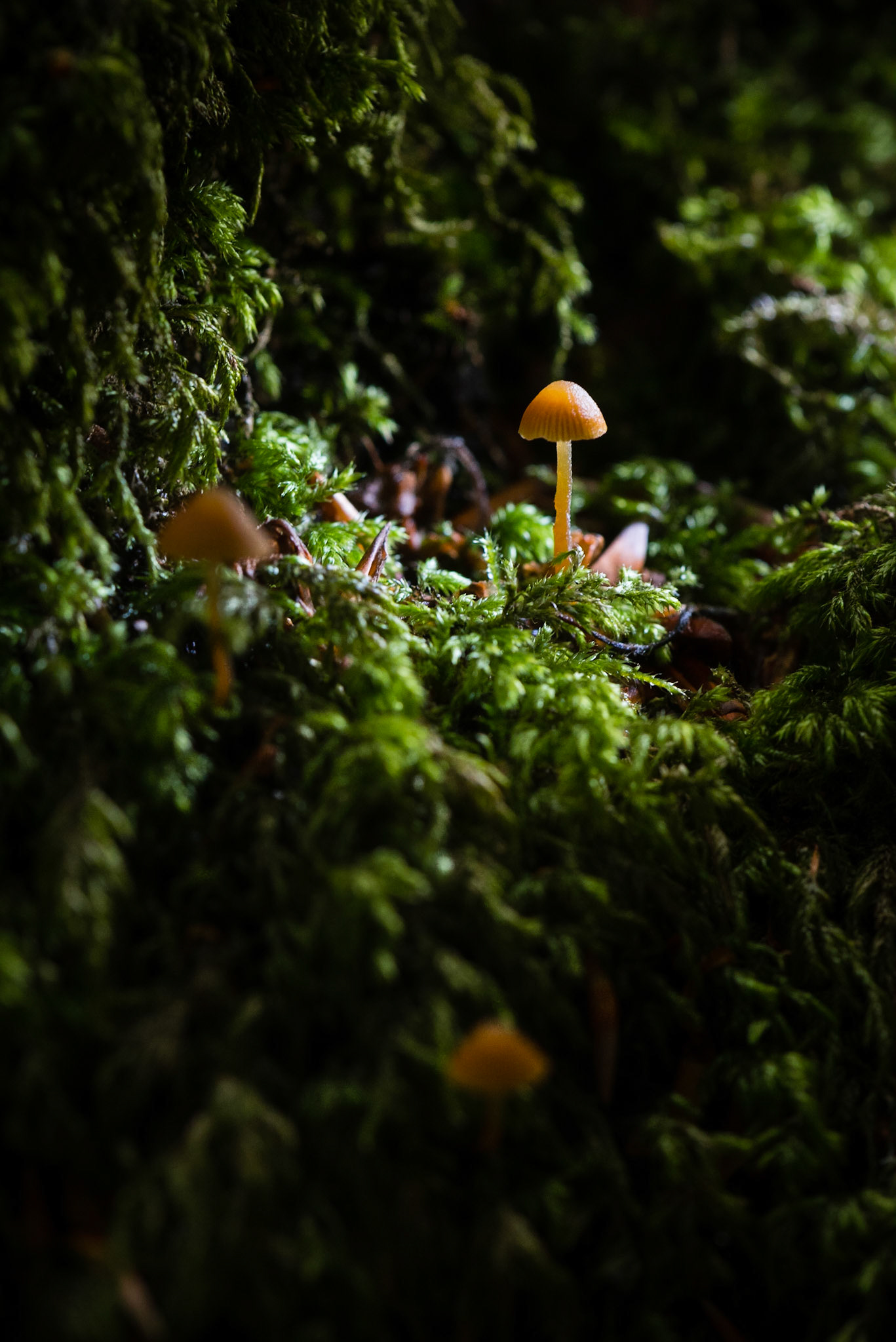 Small world