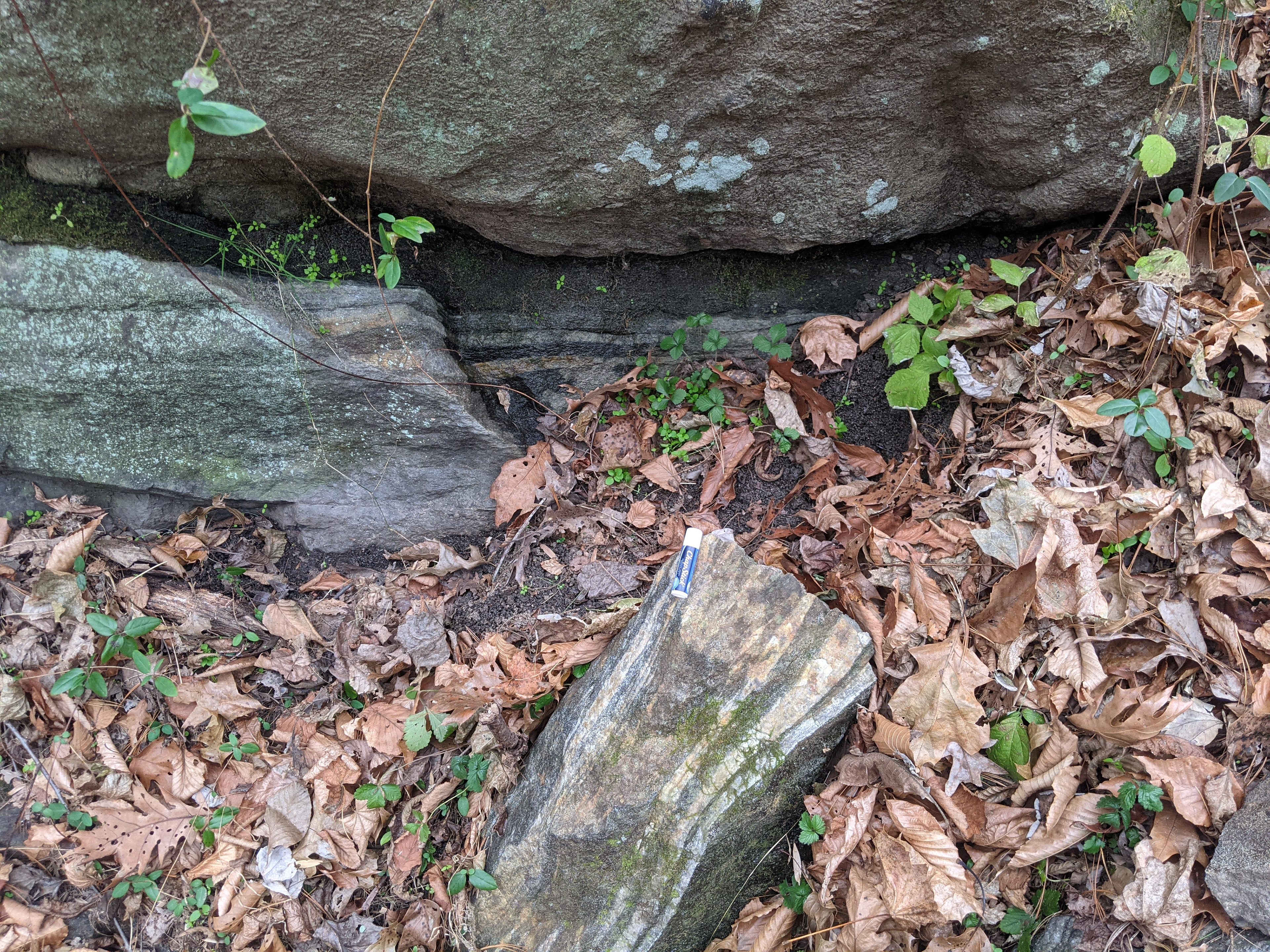 A broken off piece of rock with a chapstick container sitting on it shows layering of light and dark minerals within the rock. The layers vary from millimeter to centimeter scale with the light minerals making lager layers than the dark minerals.