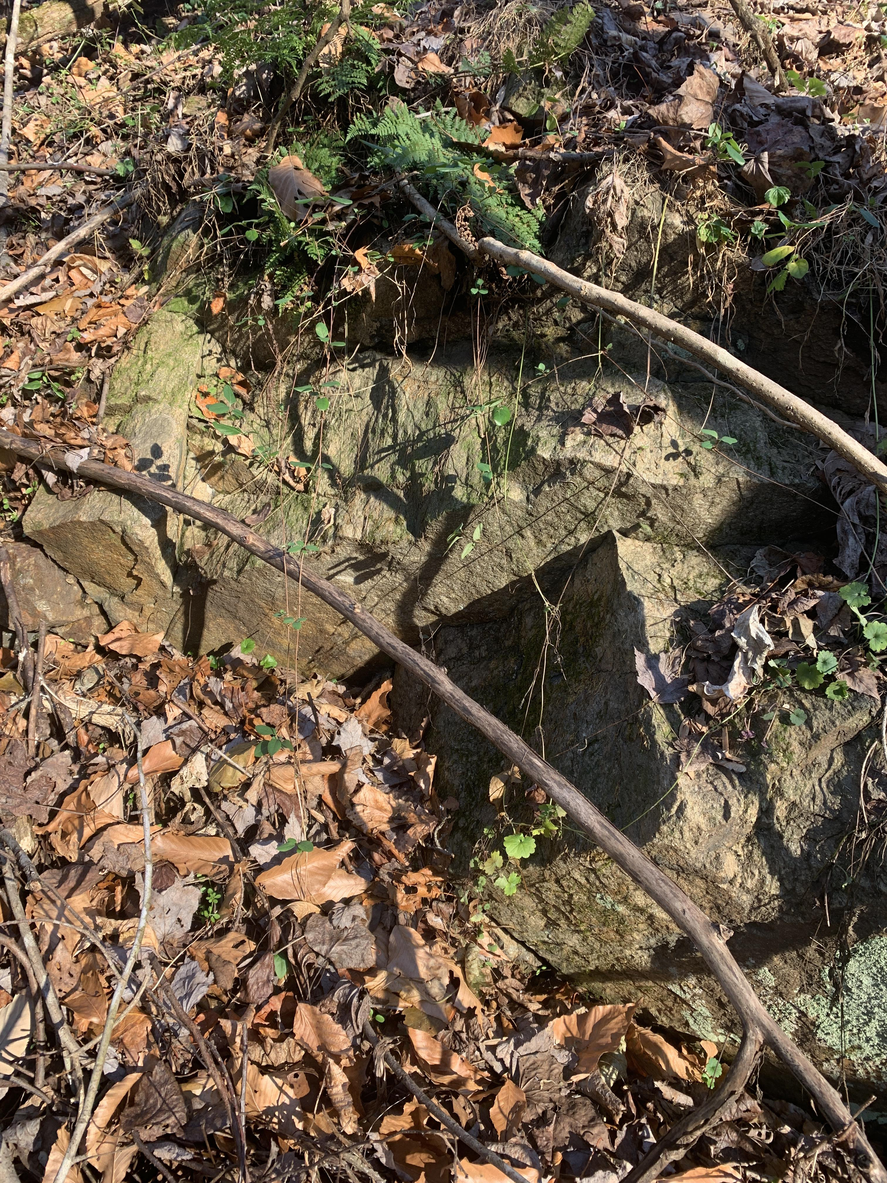 Image shows a few decimeter scale layers of rock dipping away from the camera. The underside planar surface is exposed. The rocks are a light brown-tan.