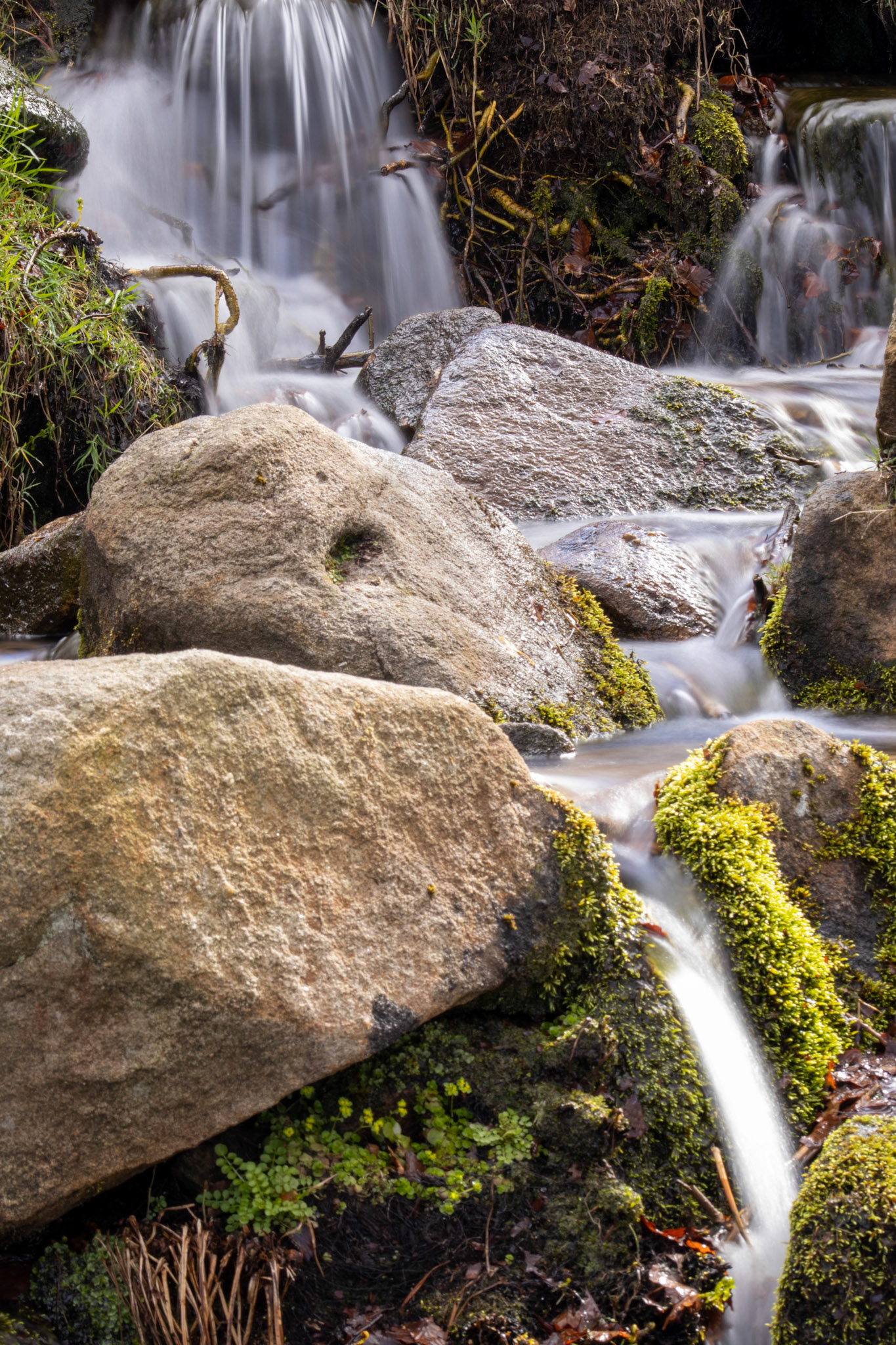 Stream in Longshaw Estate, Peak District
