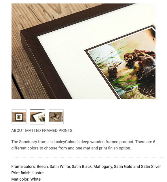 Thinking of a frame and want a mount as well, select this option...