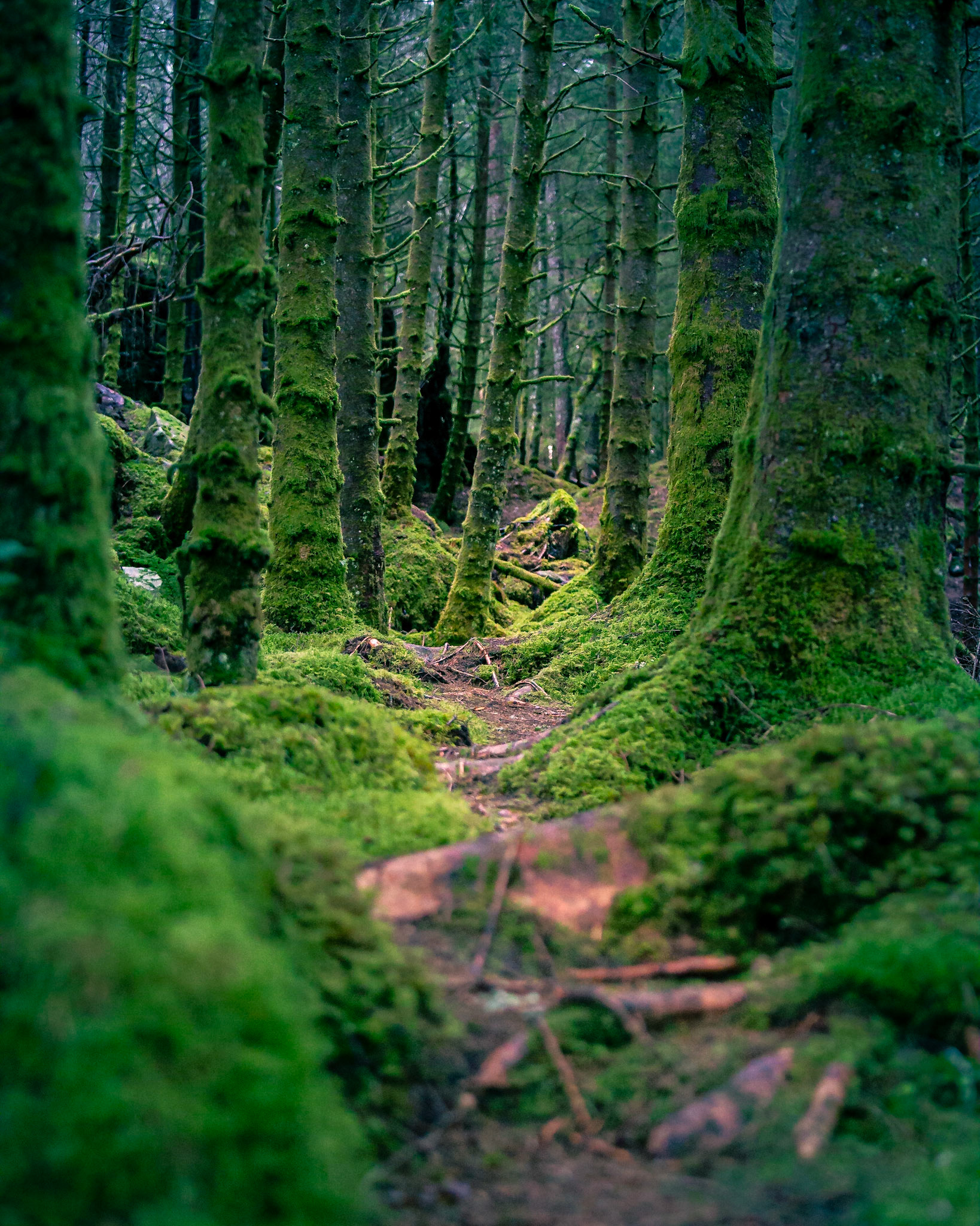 Photowalk with almost no battery left in my camera, still got a few decent photos in difficult lighting conditions