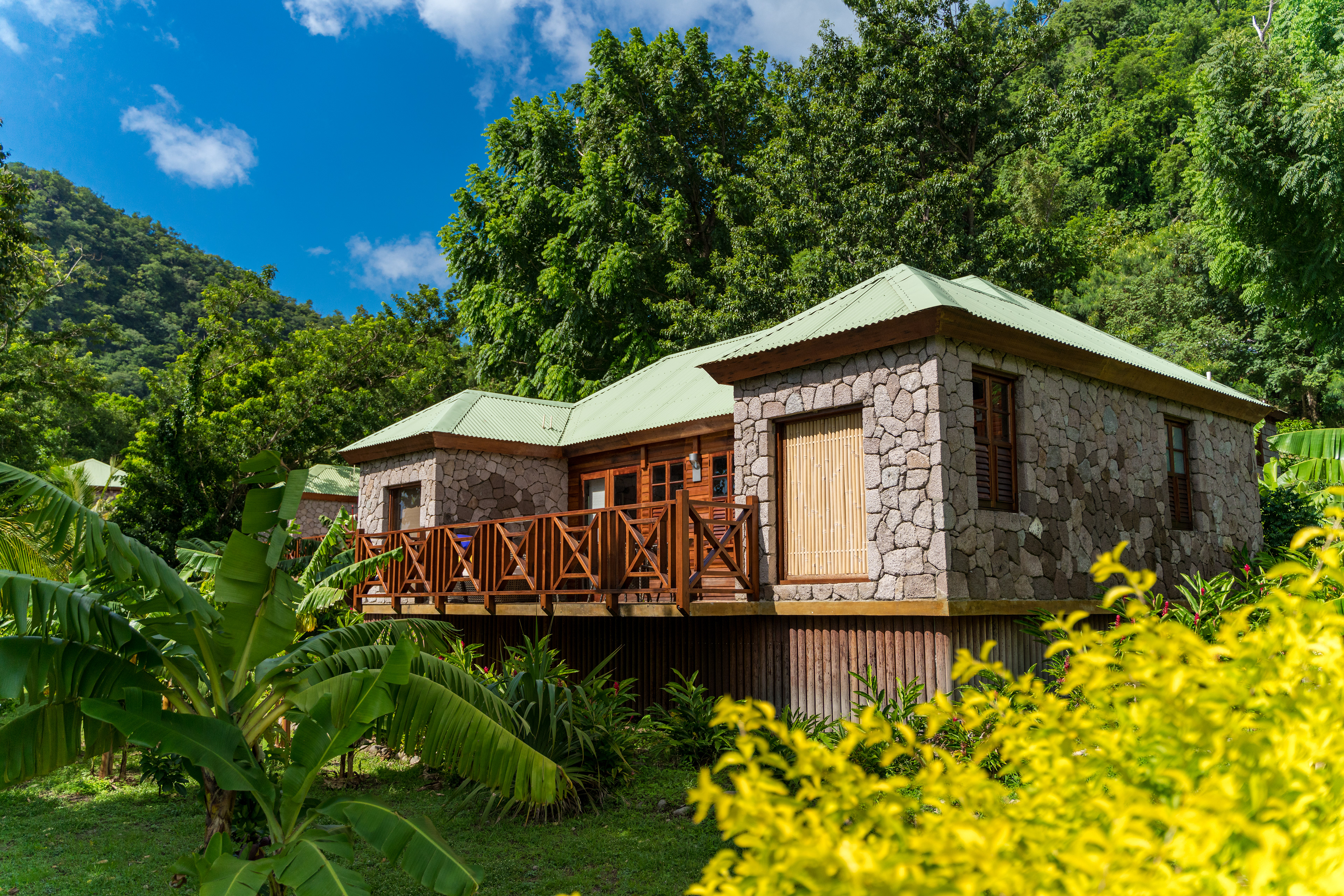 Jungle Bay Resorts