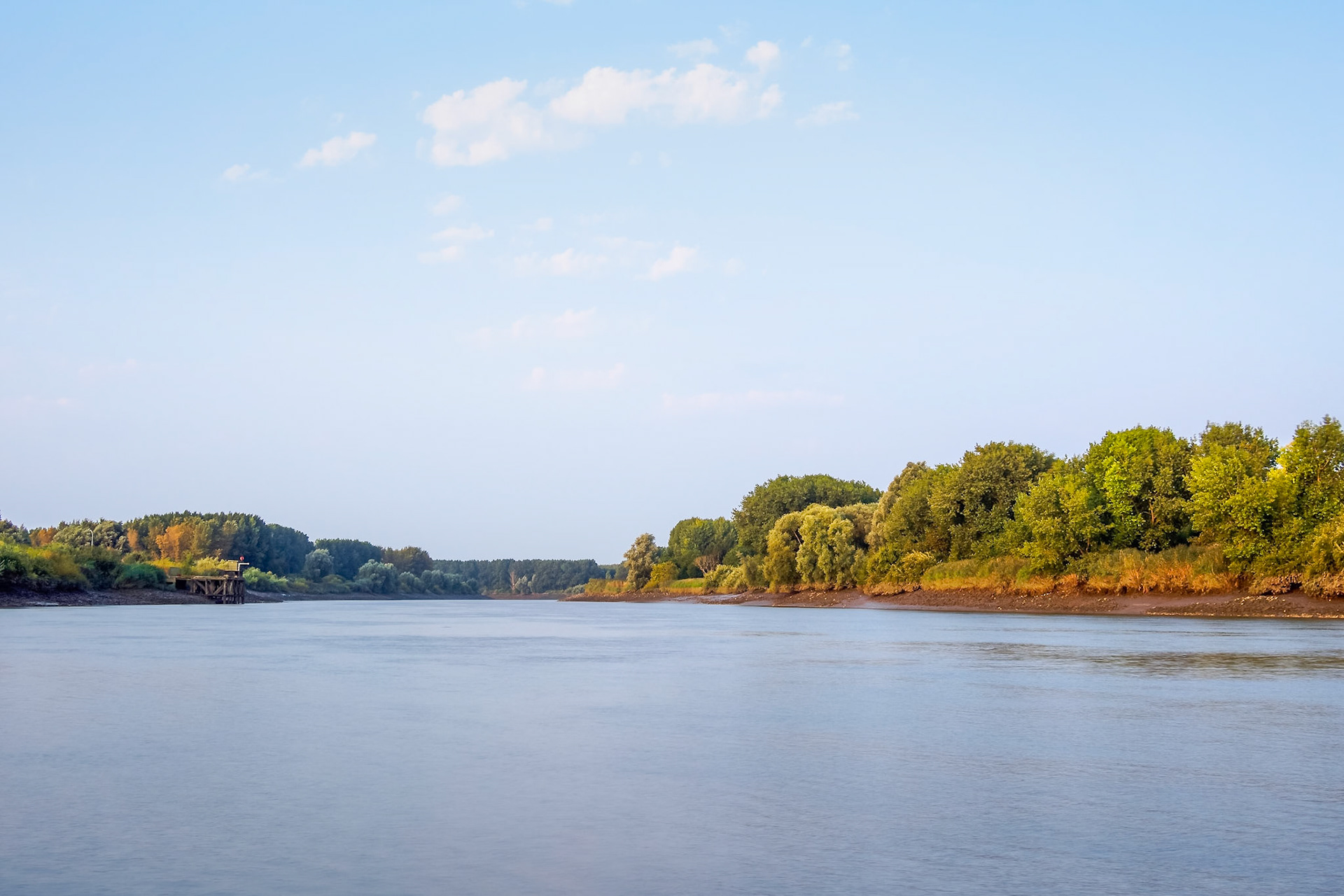 Green borders of Flanders river Schelde