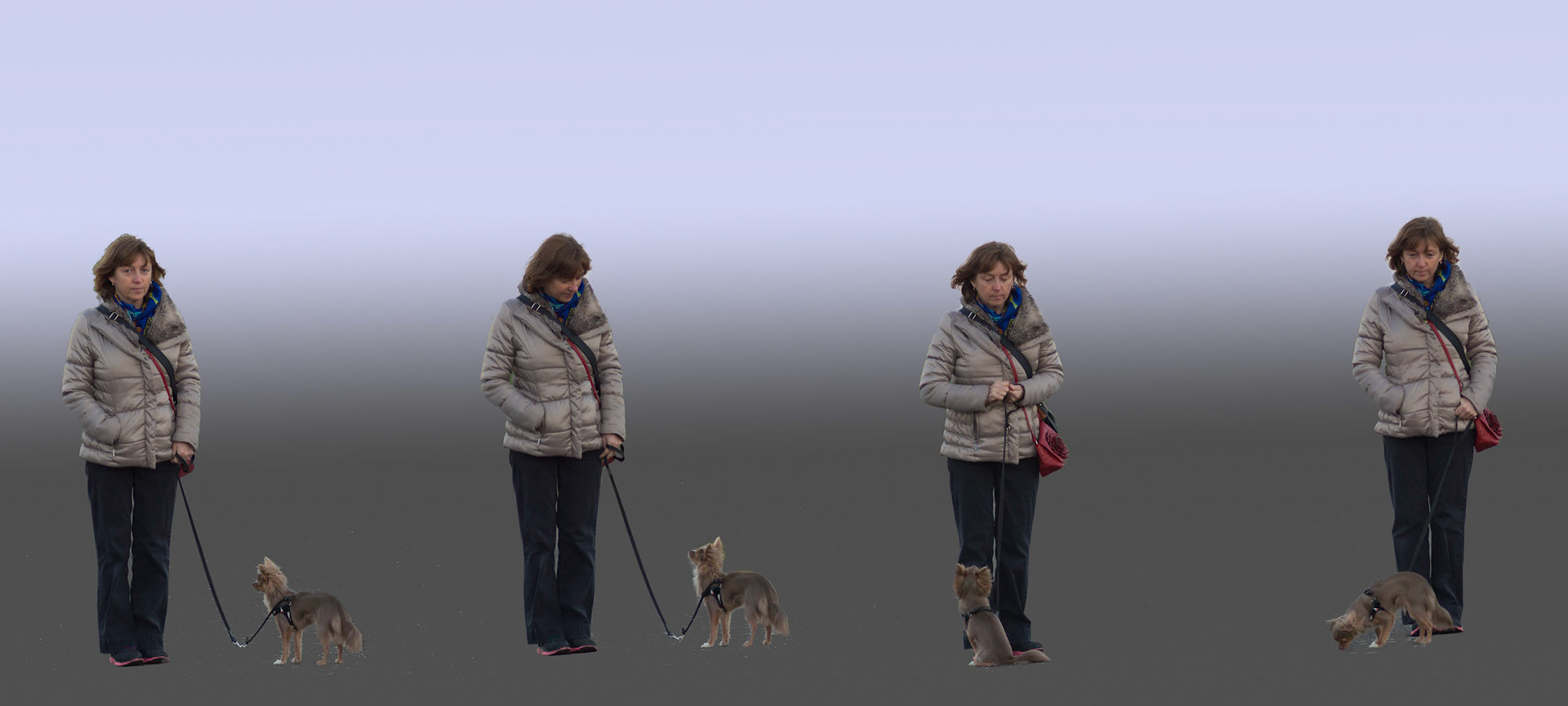 Wait Attention Sit Reward