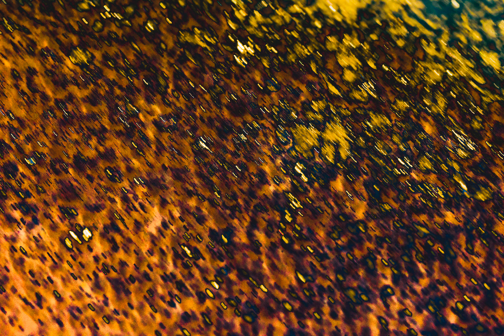 Orange to Yellow movement pattern