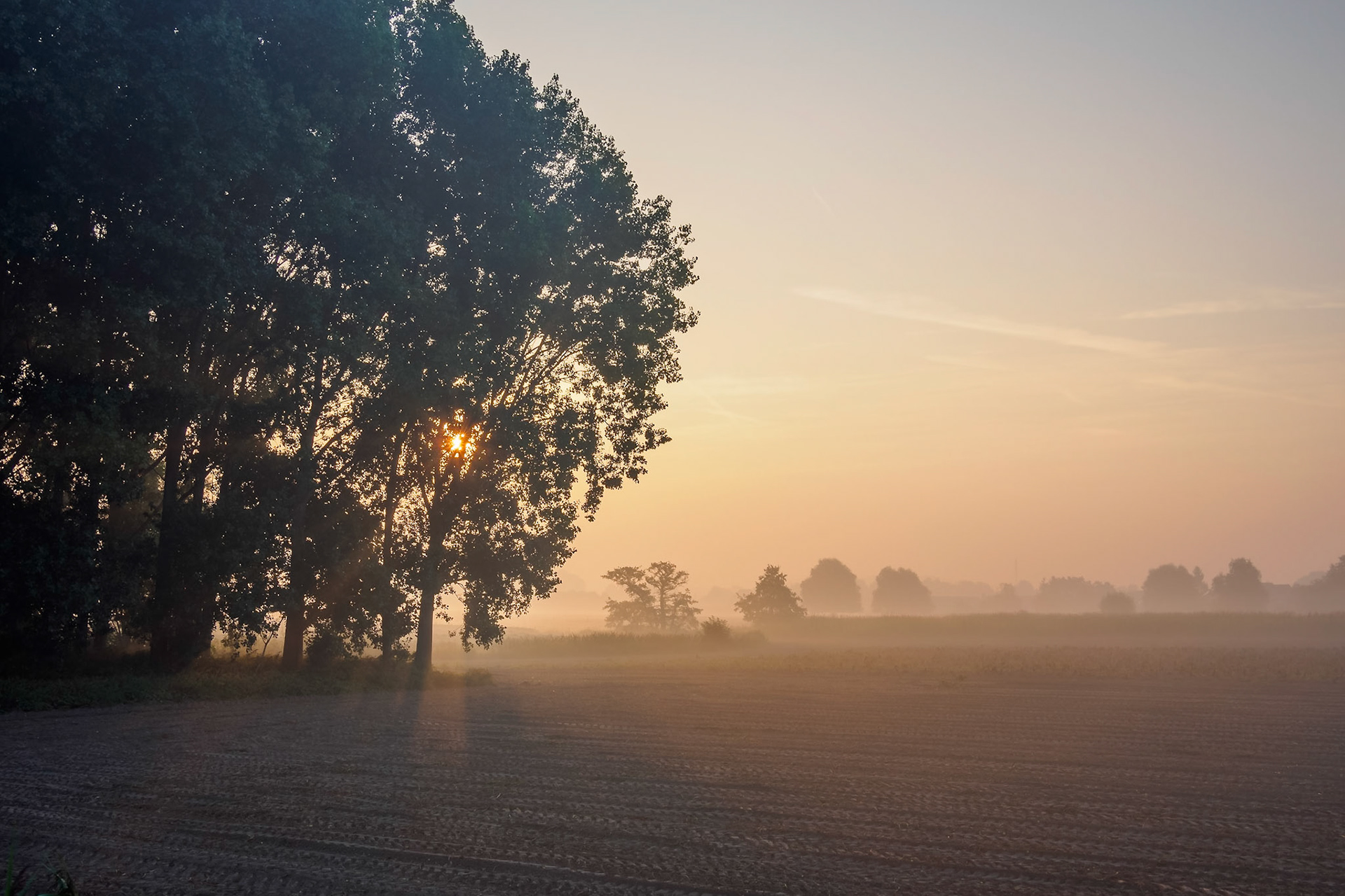 Sunrise on a misty morning III