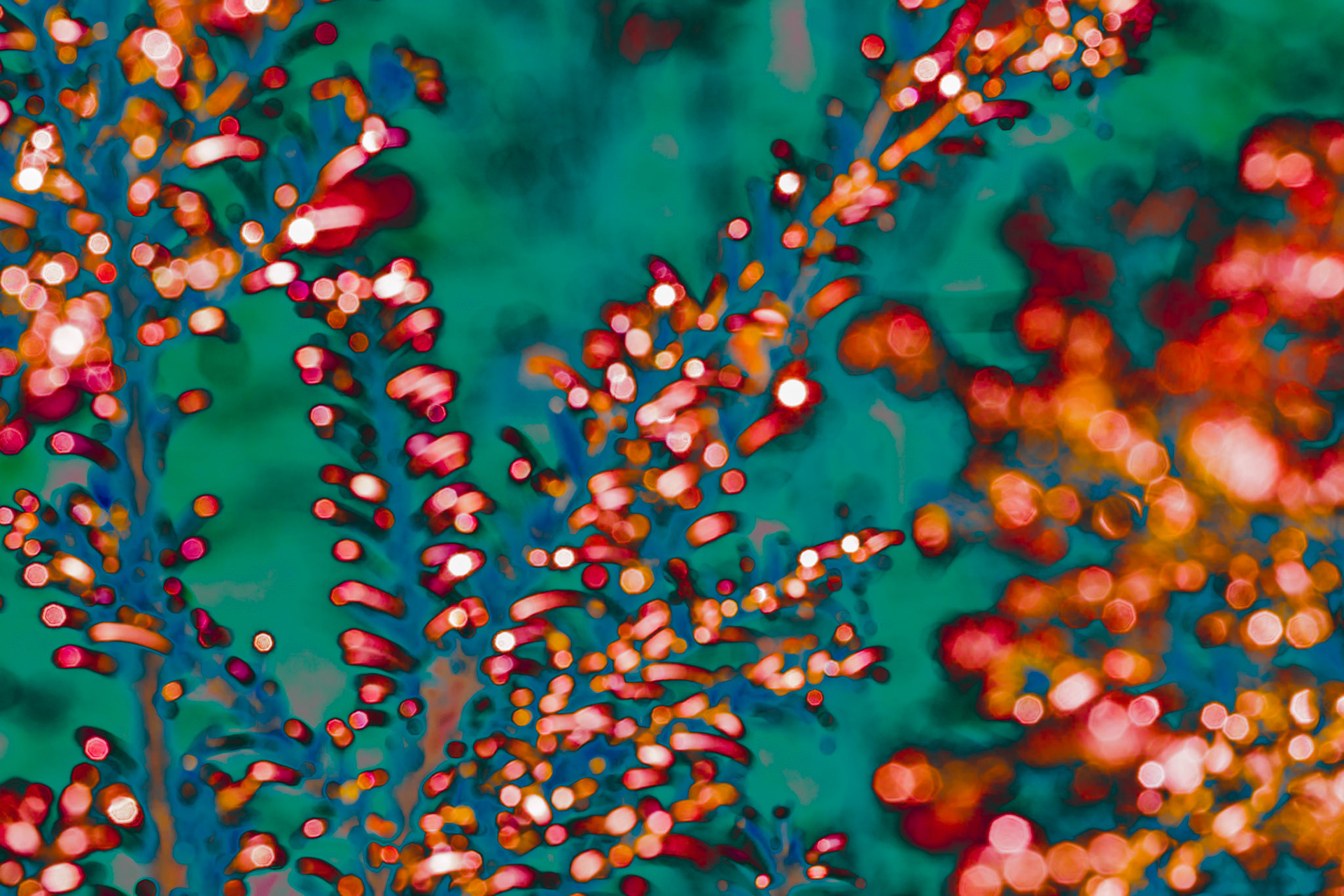 Red Orange White specs on a turqoise background