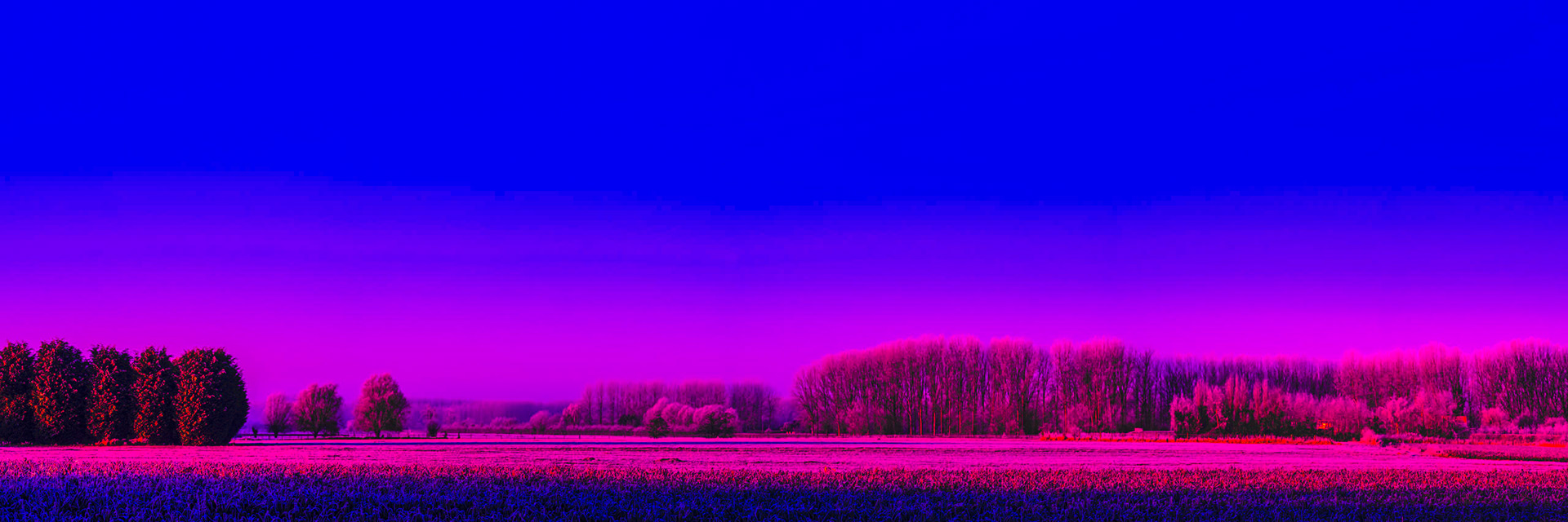 Magenta light over a rural winter landscape