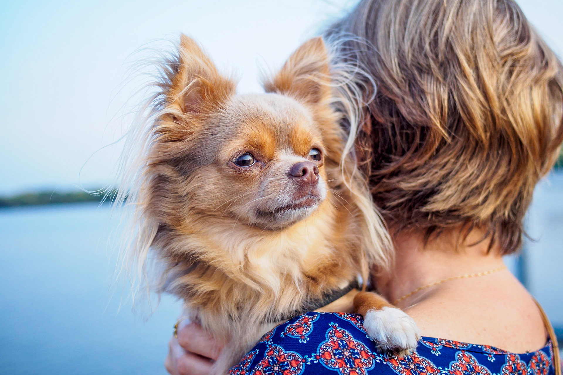 Hilde and Bowie Close-up Scheldekaai