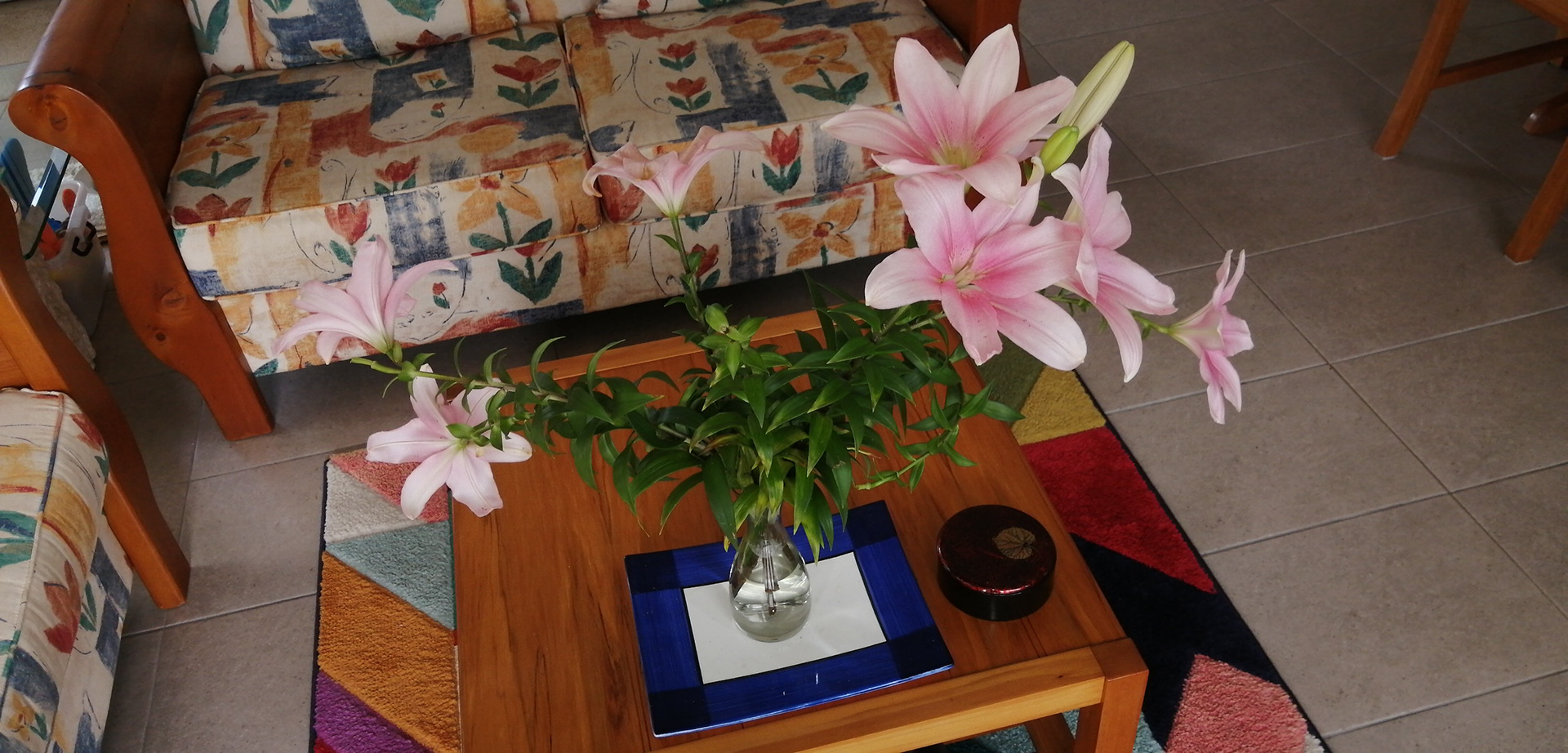 Colour abounds