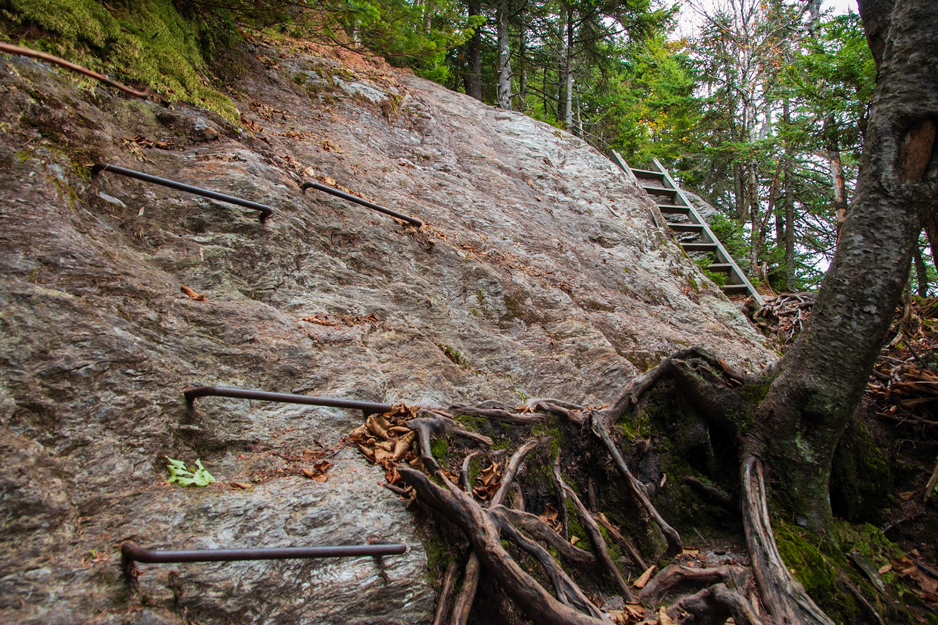 Long Trail