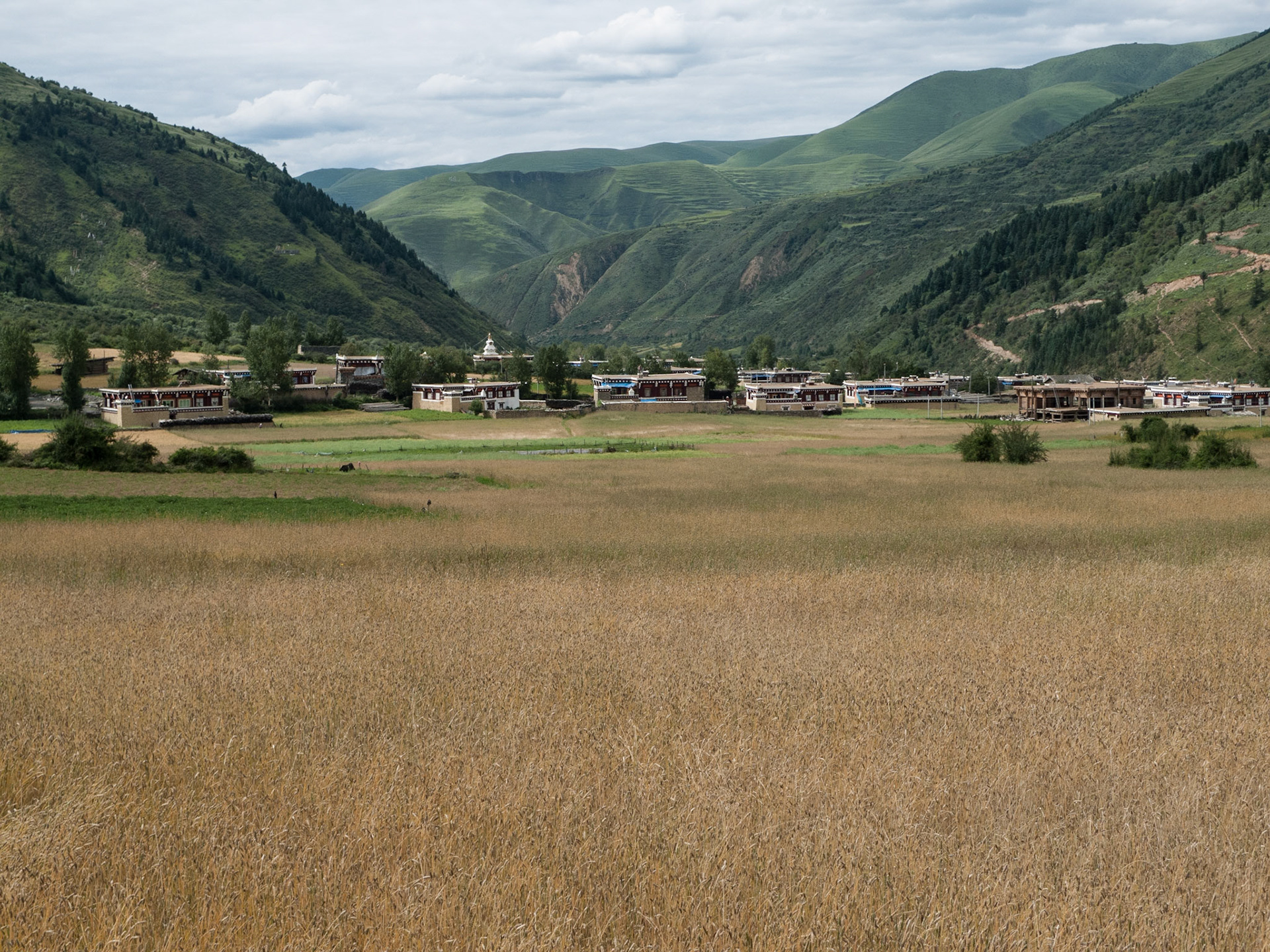 China, Eastern Tibet or Western Sichuan, also krown as Kham,