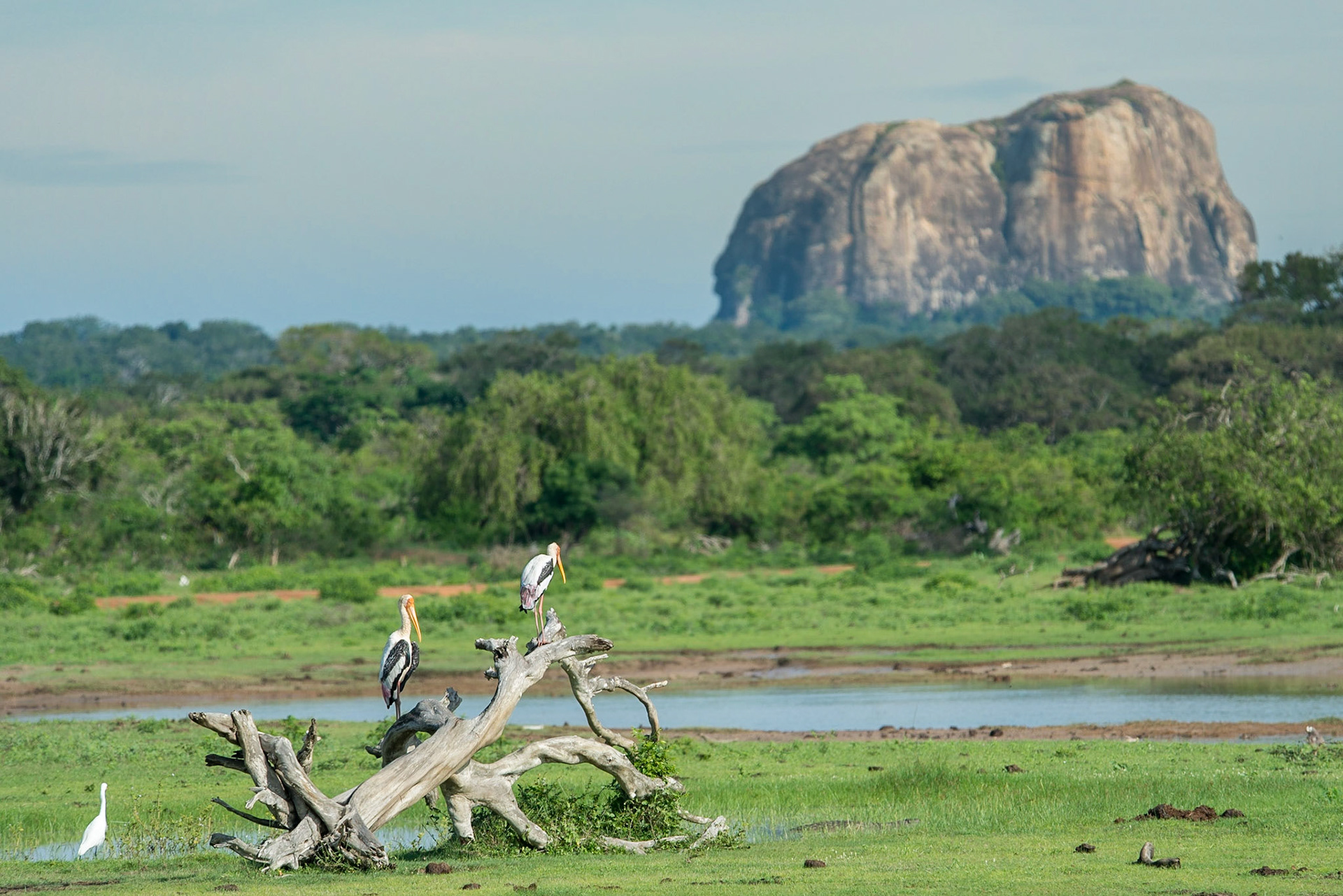 Sri Lanka, Yala National Park