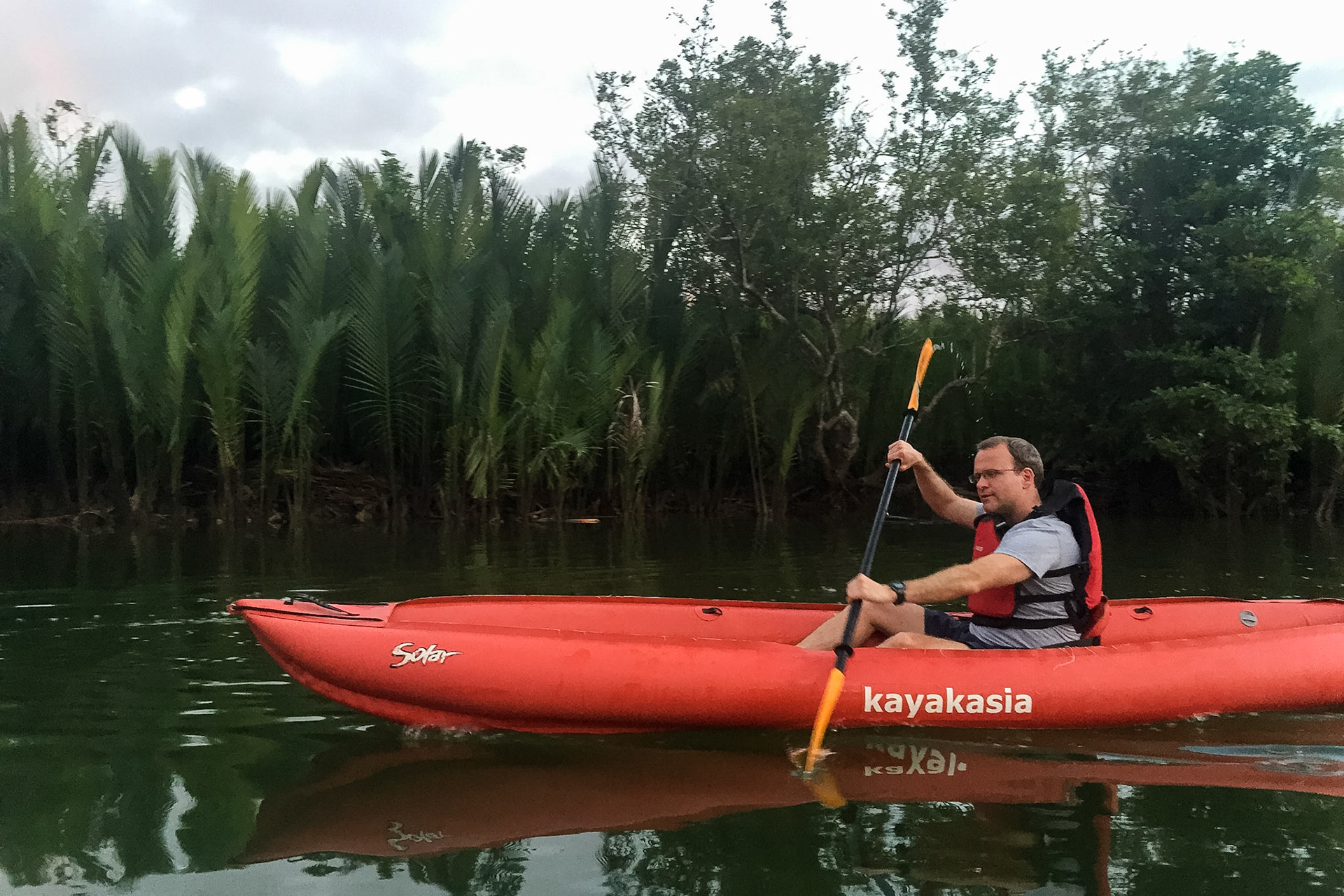 The Philippines, Bohol Island, sea kayaking in mangrove swamps for fire flies