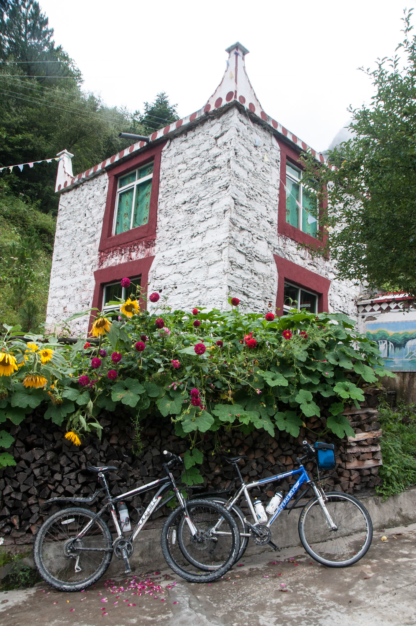 China, Eastern Tibet or Western Sichuan, also krown as Kham,