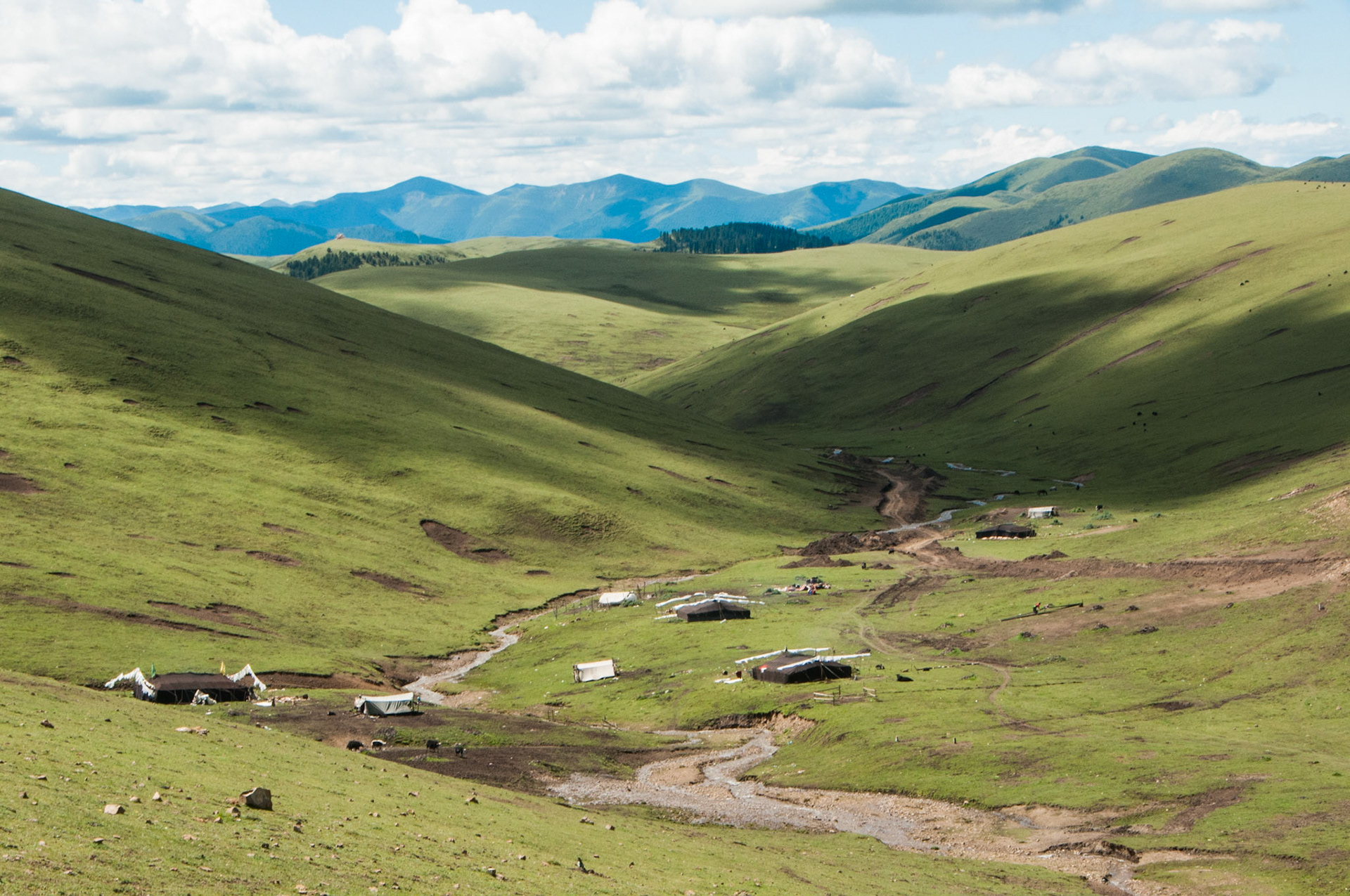 China, Eastern Tibet or Western Sichuan, also known as Kham, a typical nomads' encampment in a grassy valley.