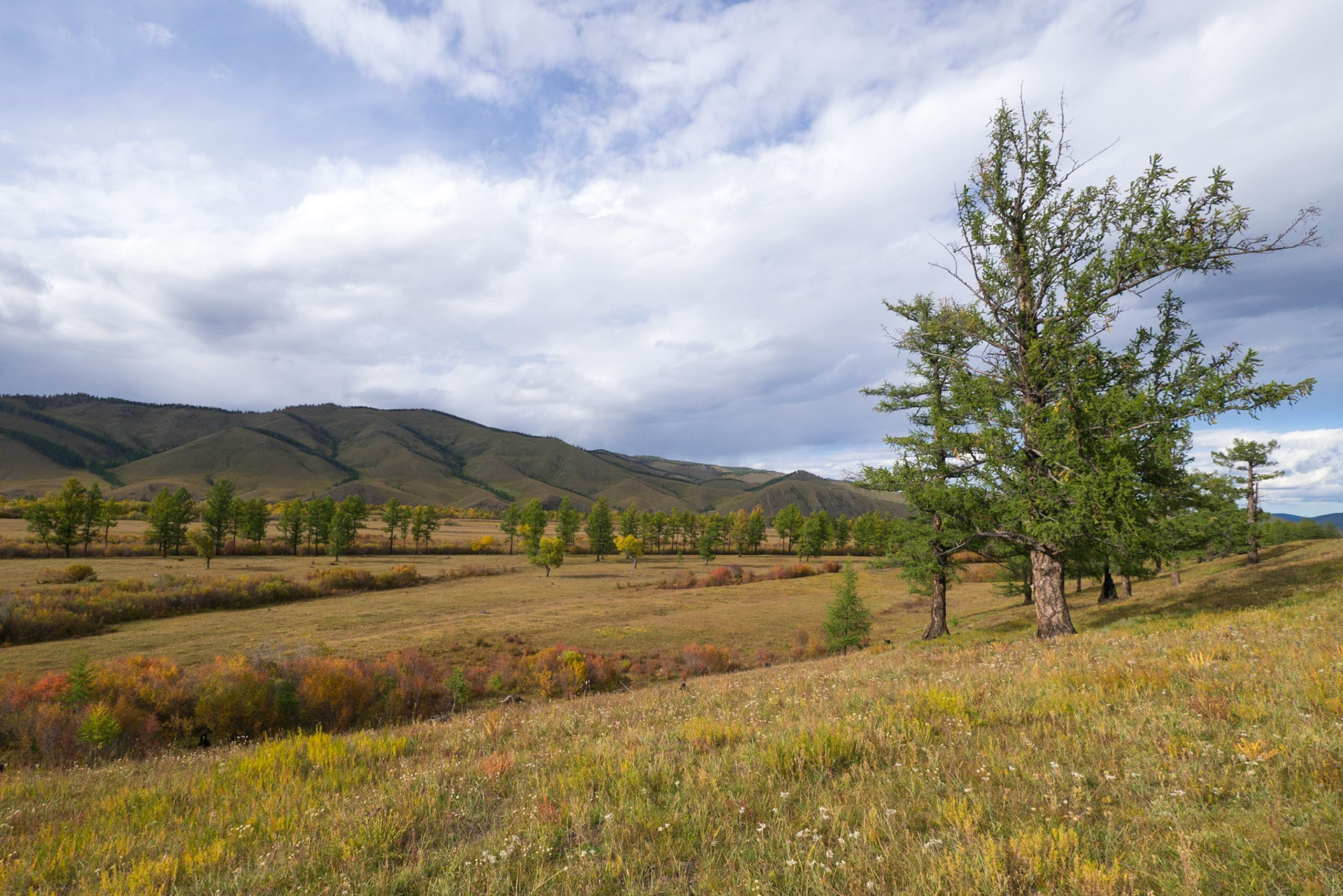 Mongolia, photos from a bicycle tour with Compass Rose Expeditions