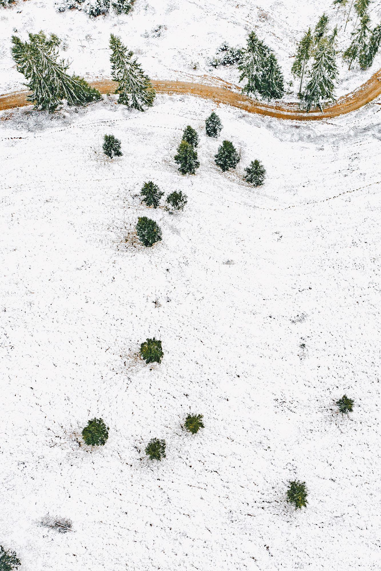 First snow in the forest aerial view