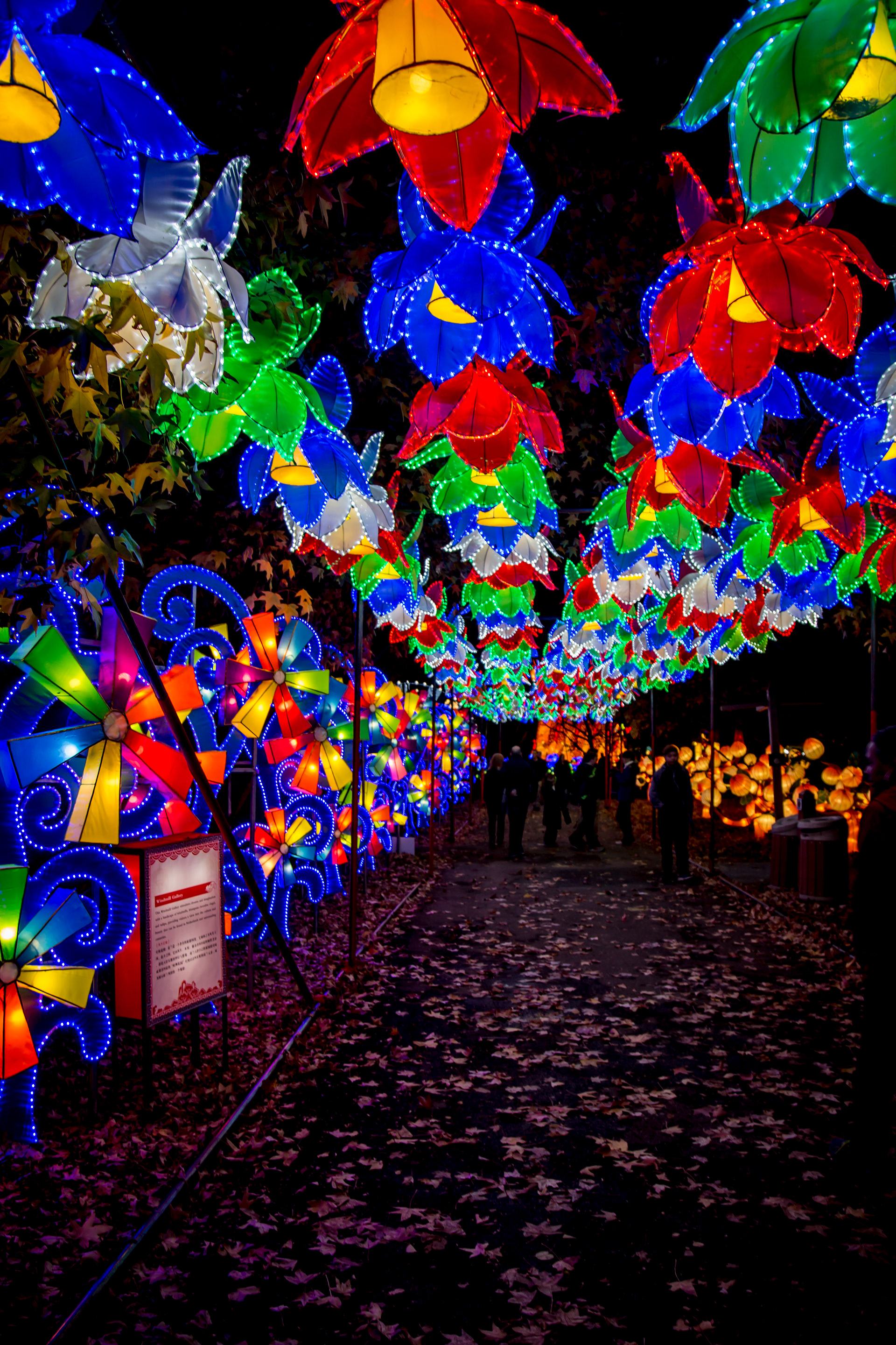 Nikole Breanna Photography Ohio Chinese Lantern Festival Columbus