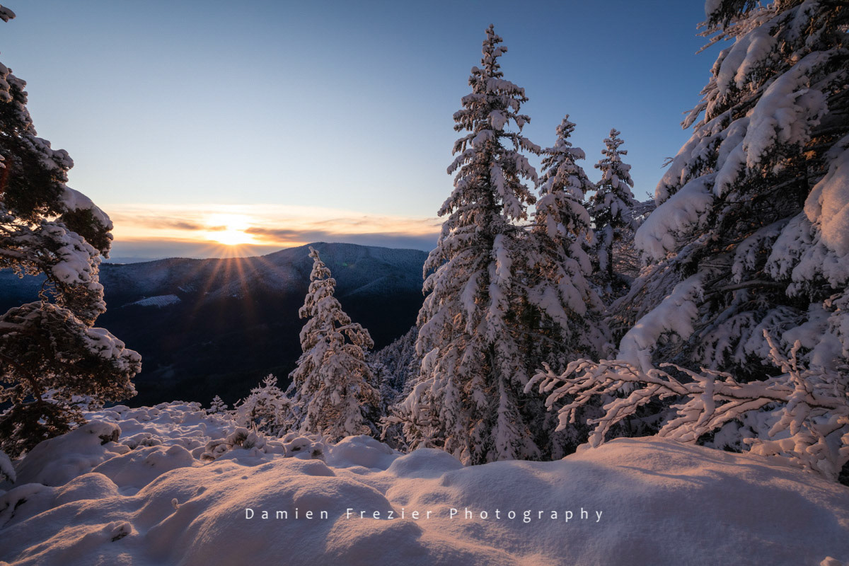 Good Morning Winter