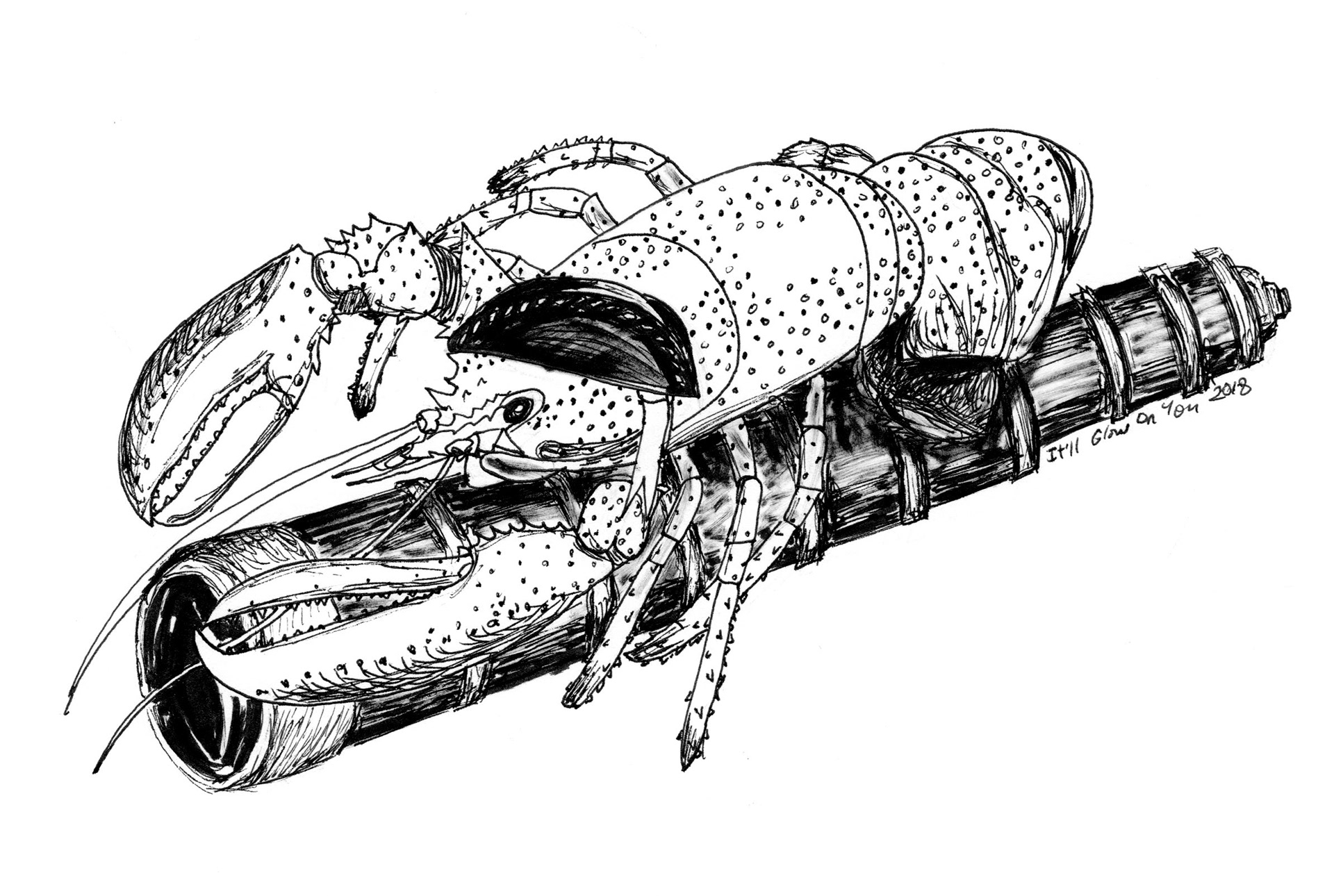 Lobster Telescope