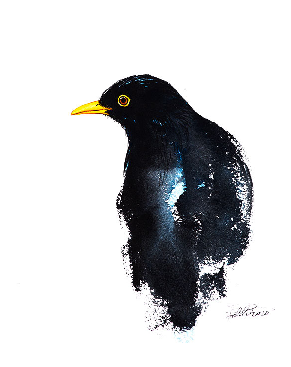 MS 91 - 30x40 cm - 900 kr