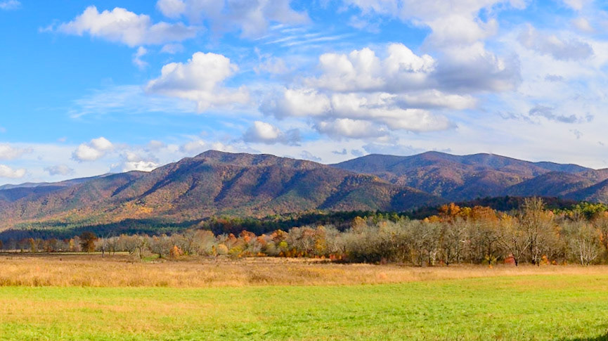 Cade Cove Loop Road