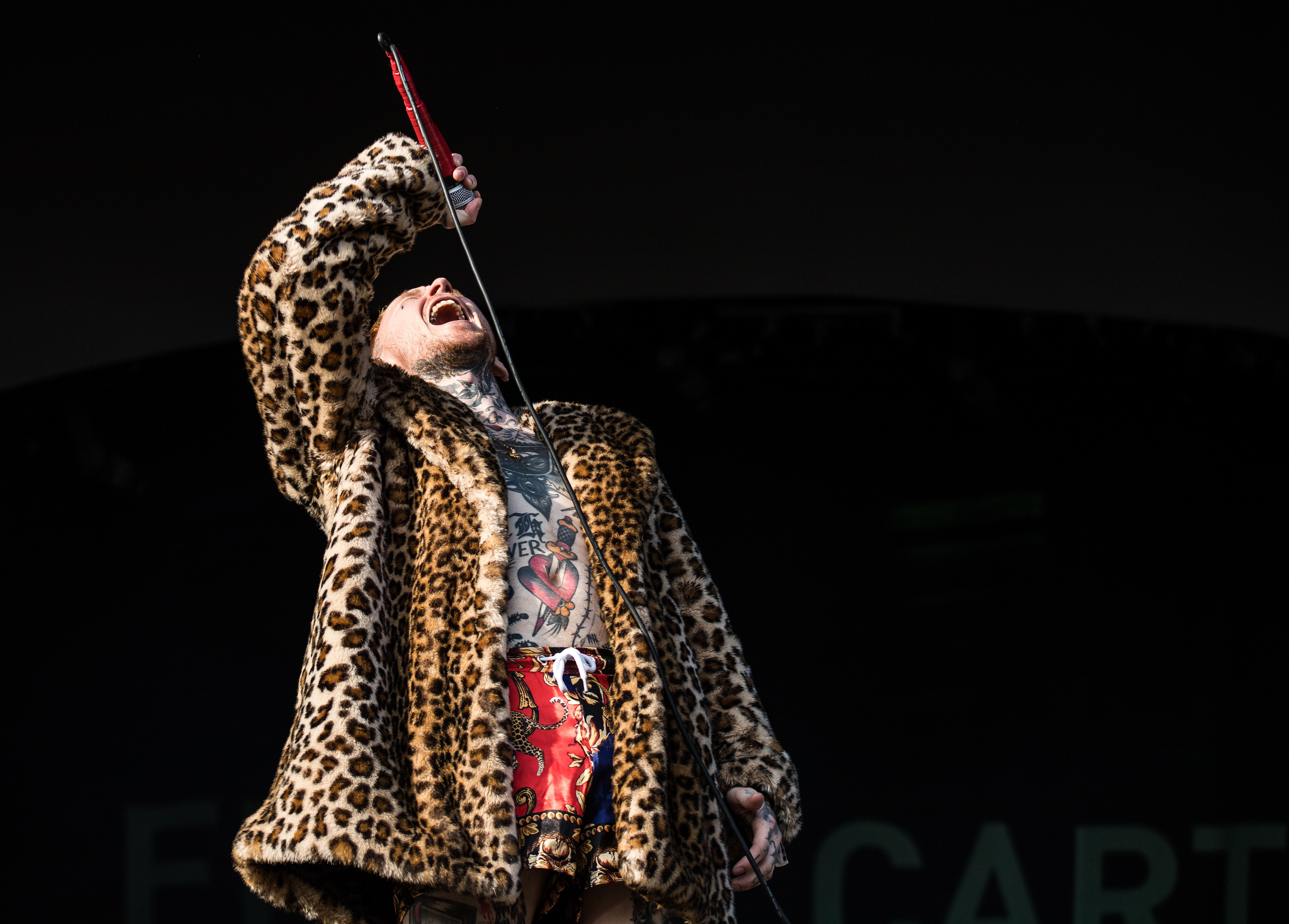 Frank Carter And The Rattlesnakes - Frank Carter - All Points East Festival London 2018