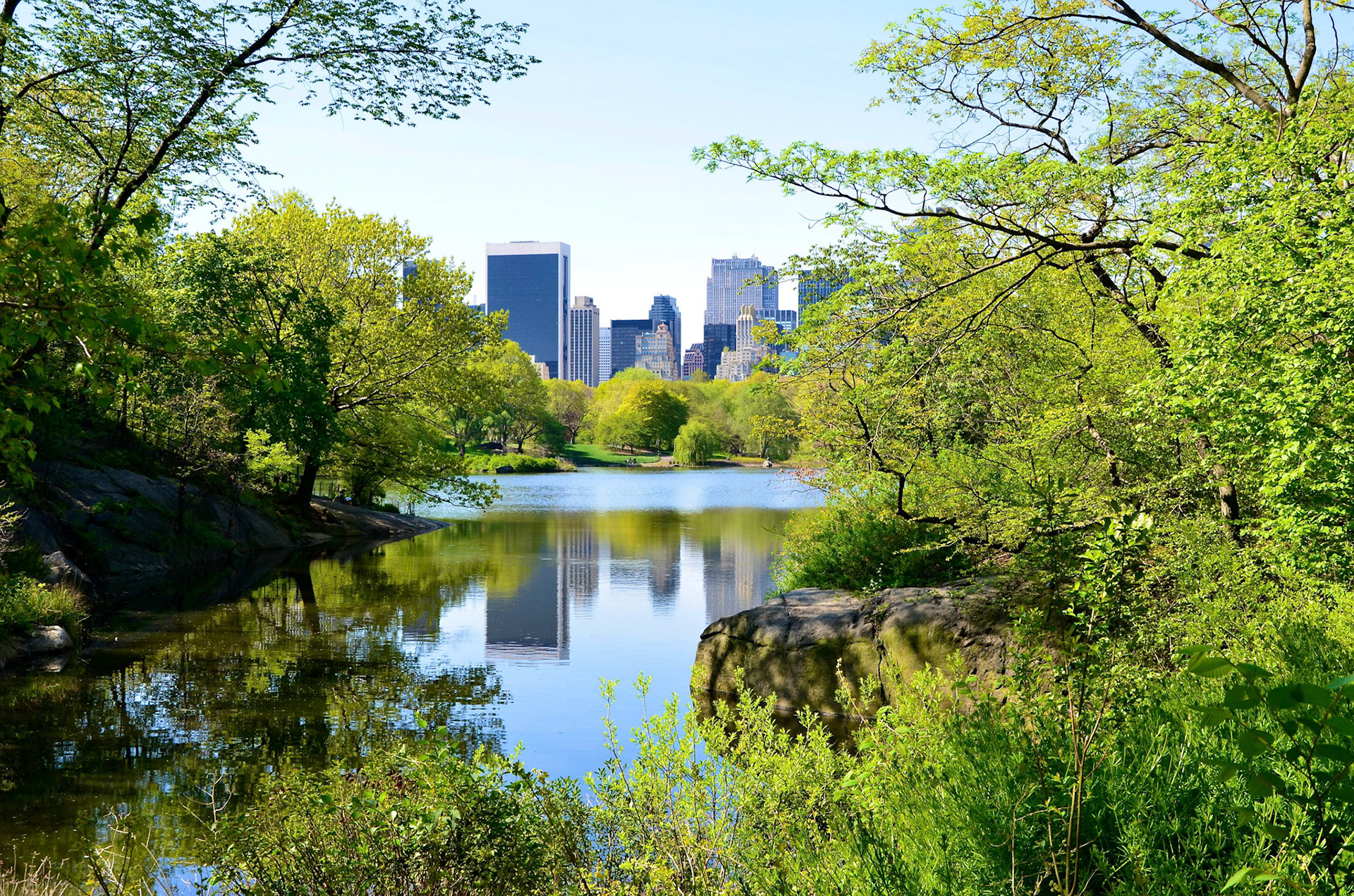 View towards Central Park South