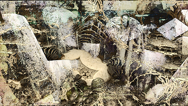 Sea defences