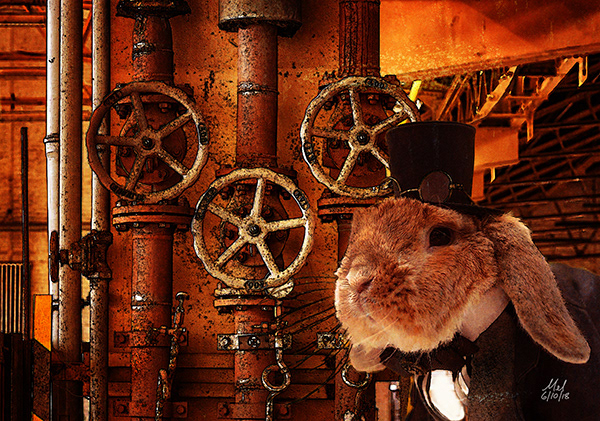 Steampunk Bunny