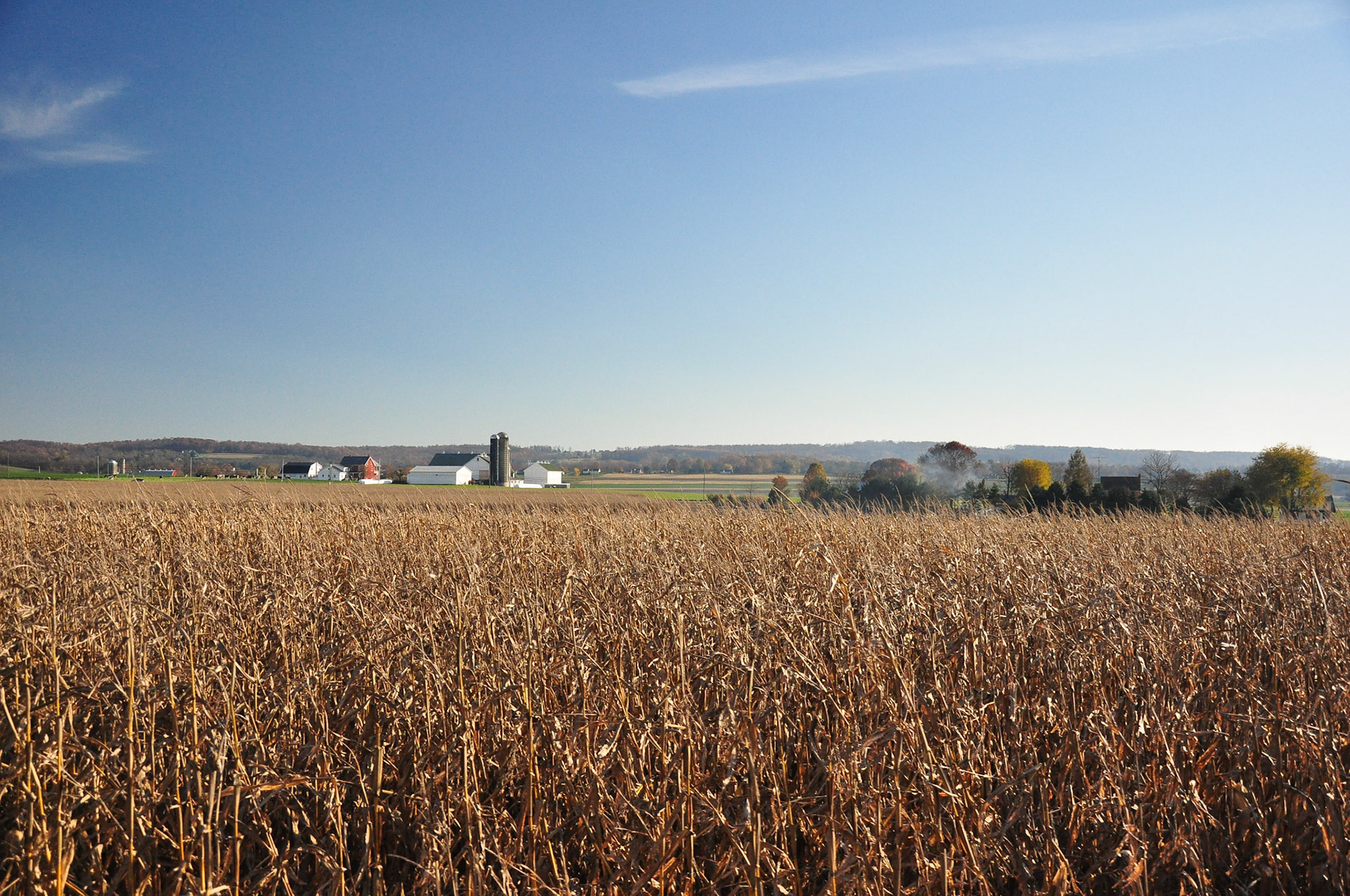 corn fields and farms