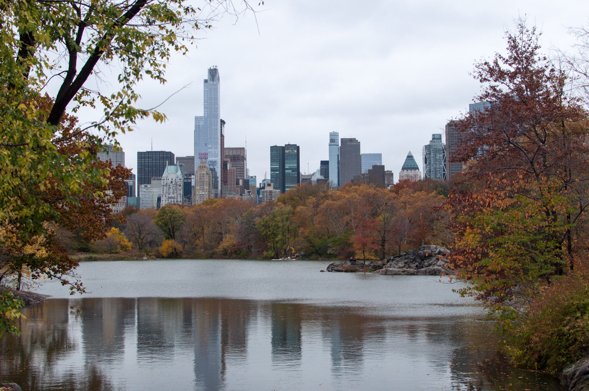view of the midtown manhattan skyline from central park.  the central park lake is in the foreground.