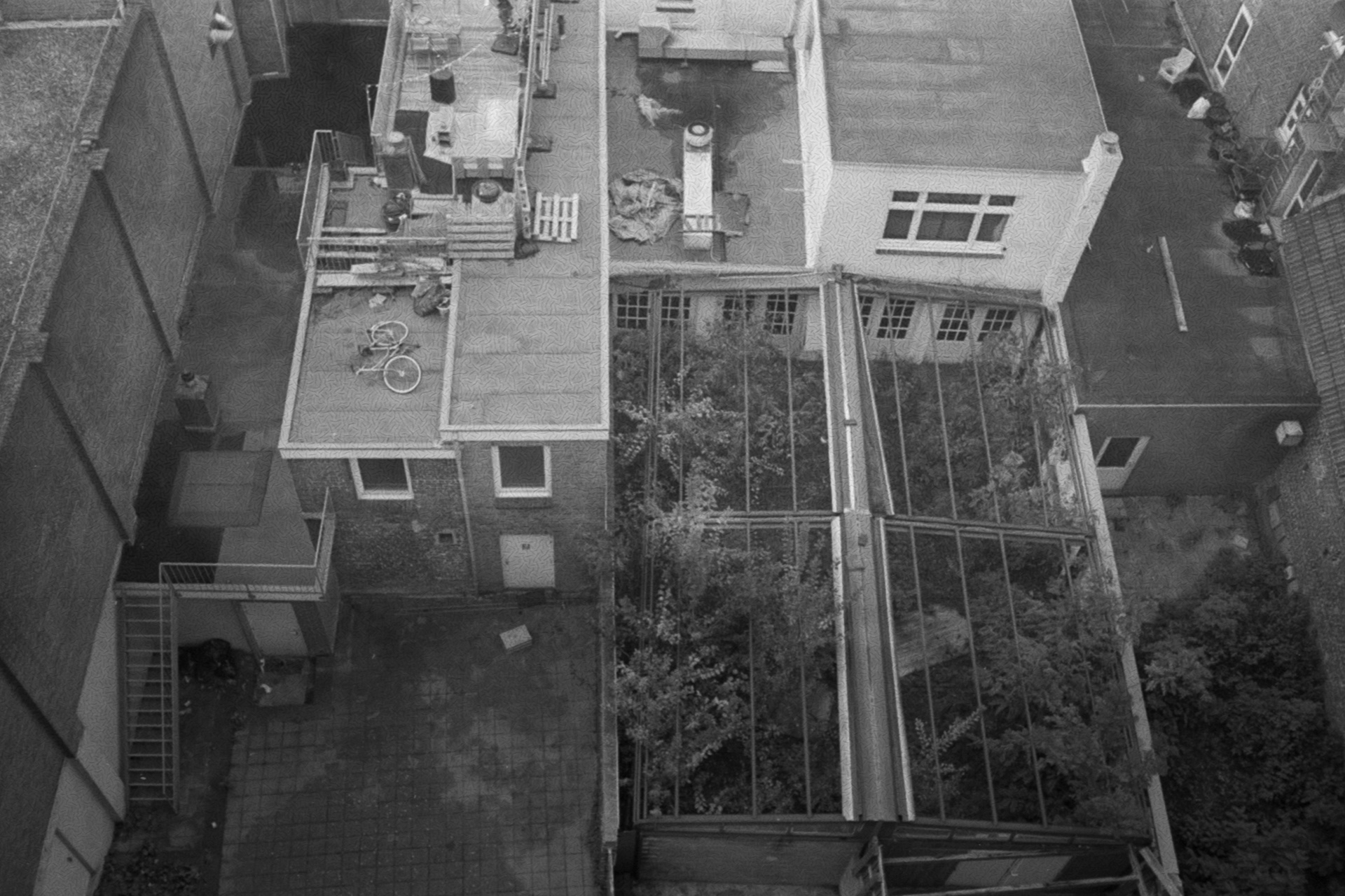 Youri Beckers