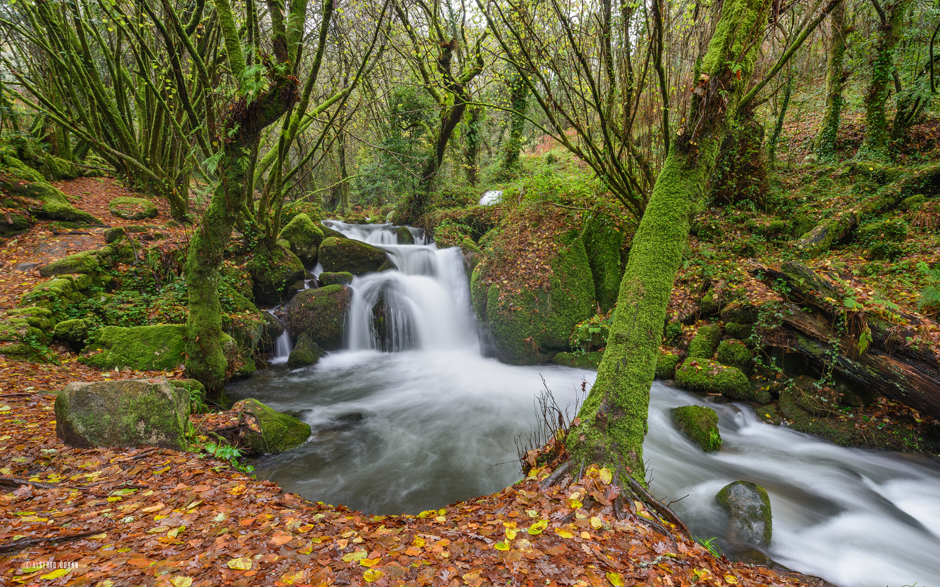 ruta da pedra e da auga cascada otoño