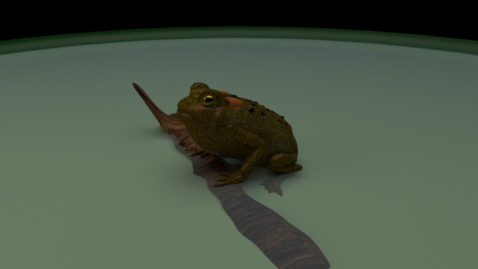 American Toad Sound Production; Modeled and Rendered in Maya 2020