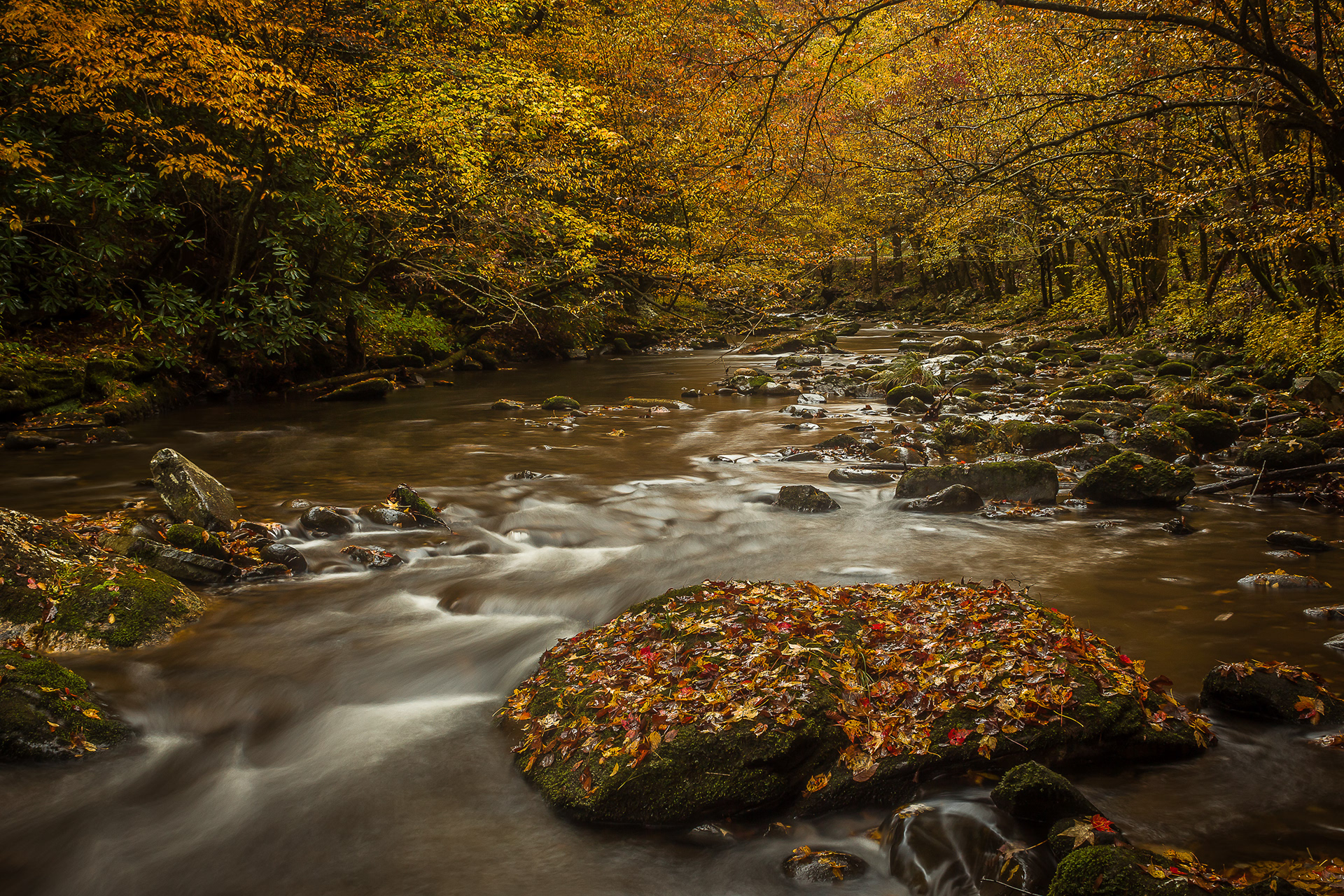 Stream in Tremont