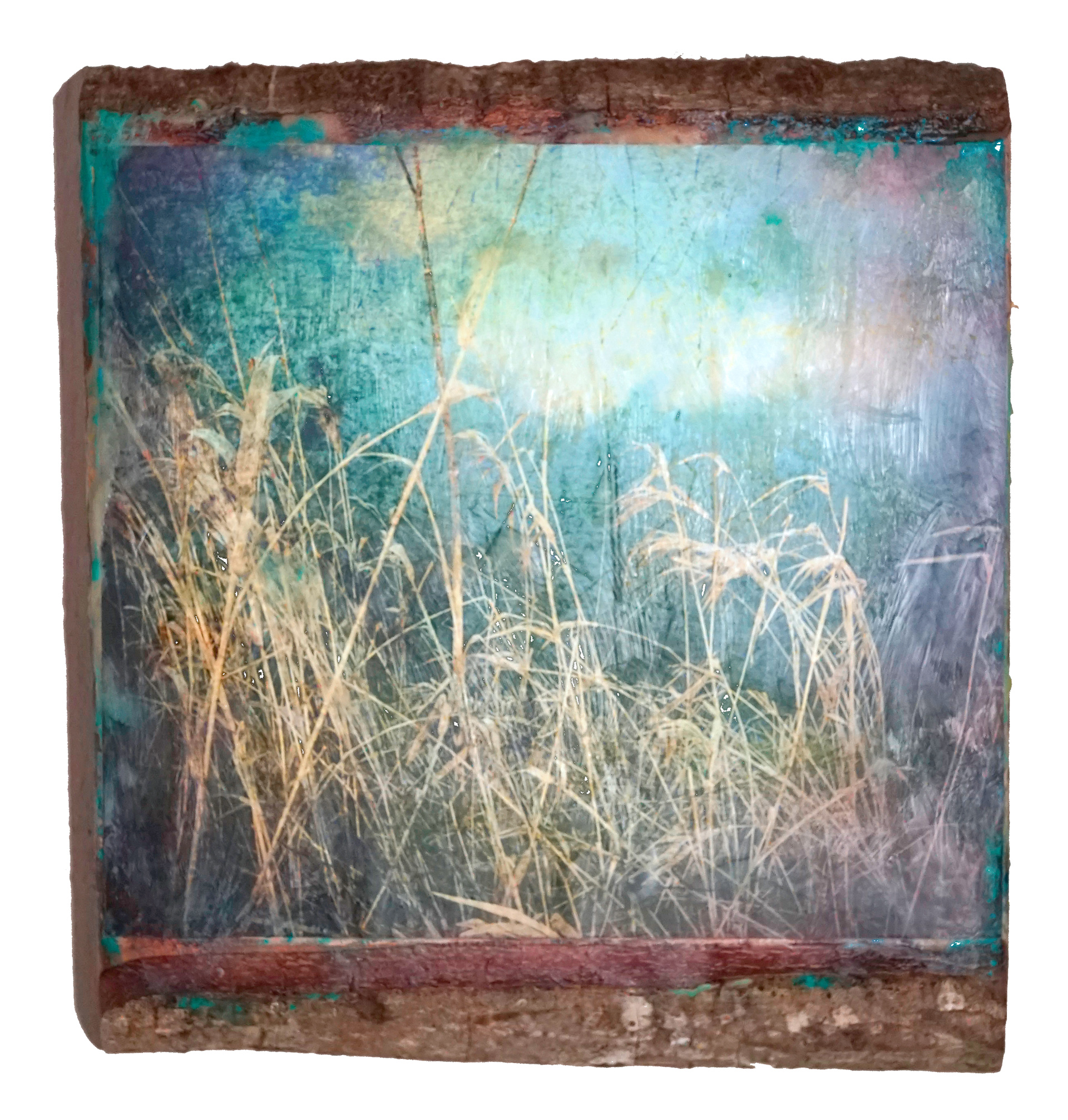 dune grass 3