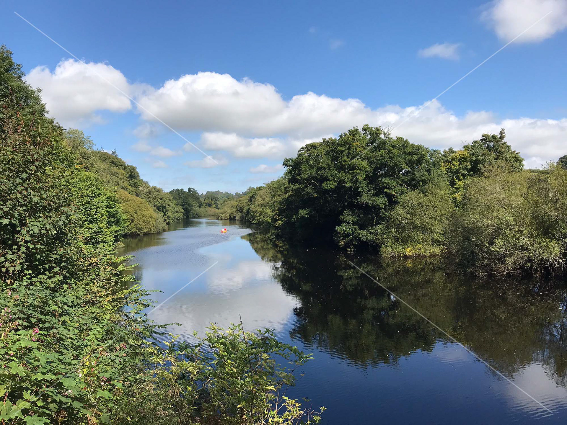 River Dart in Totnes